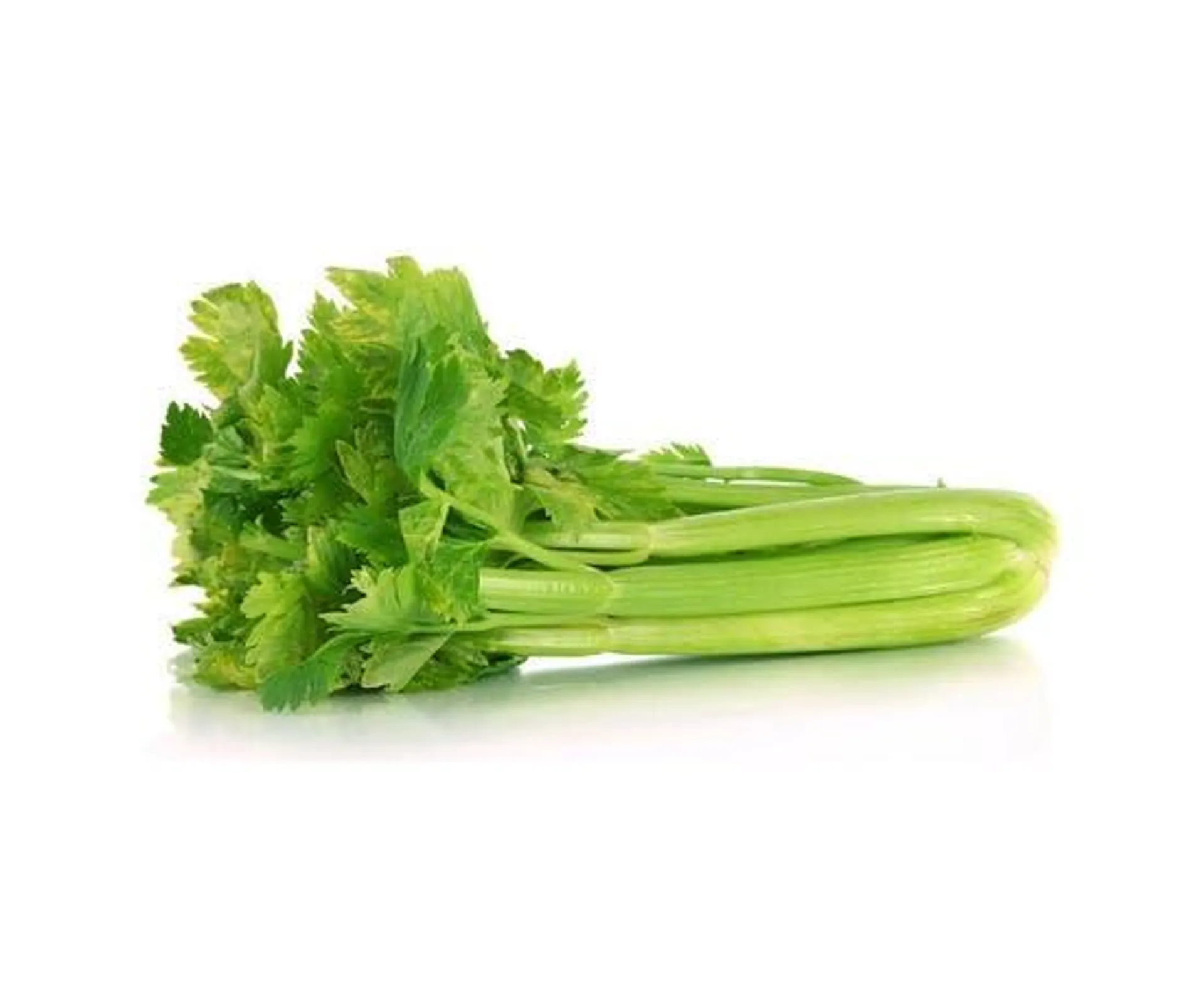 Celery - Iran