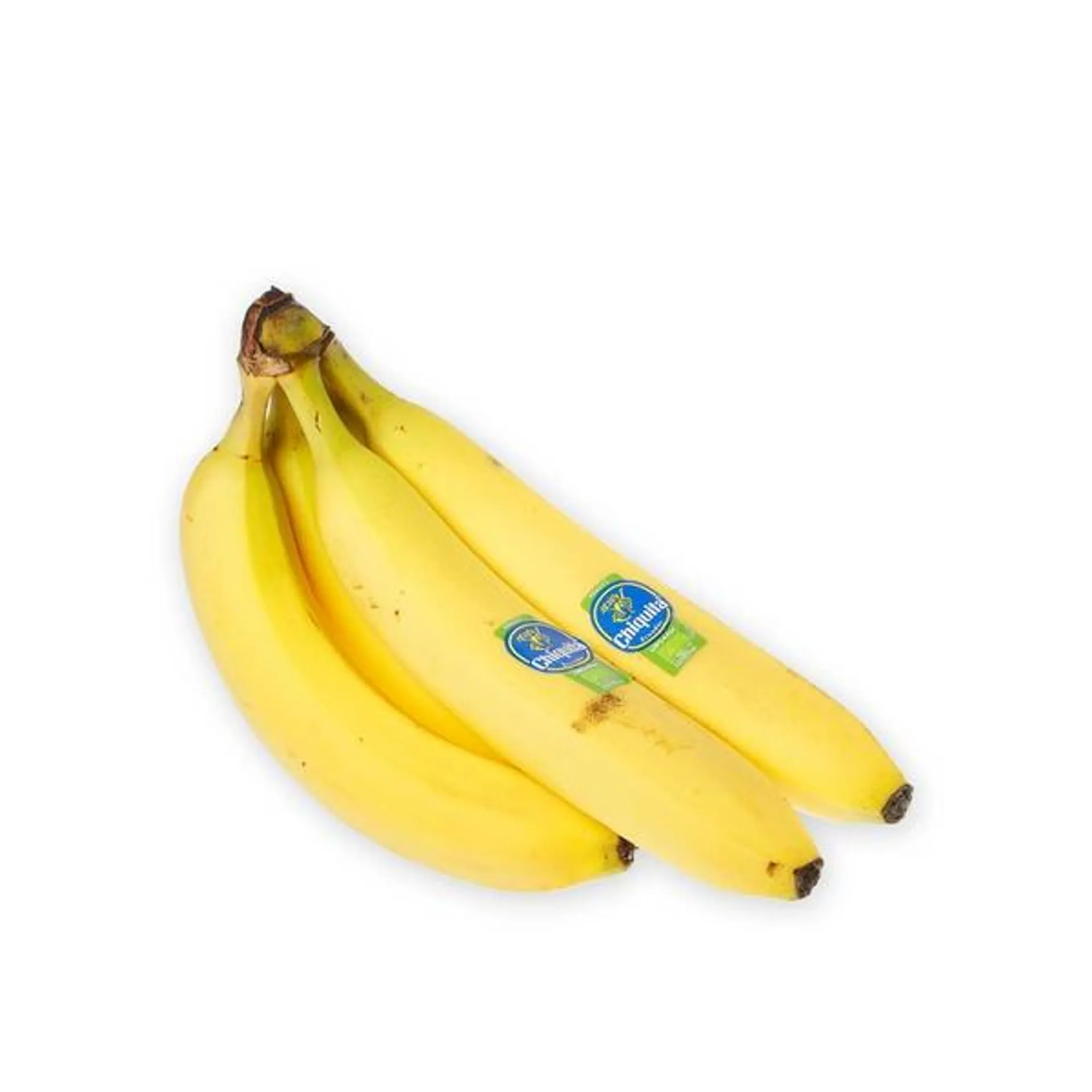 Chiquita Banana Ecuador