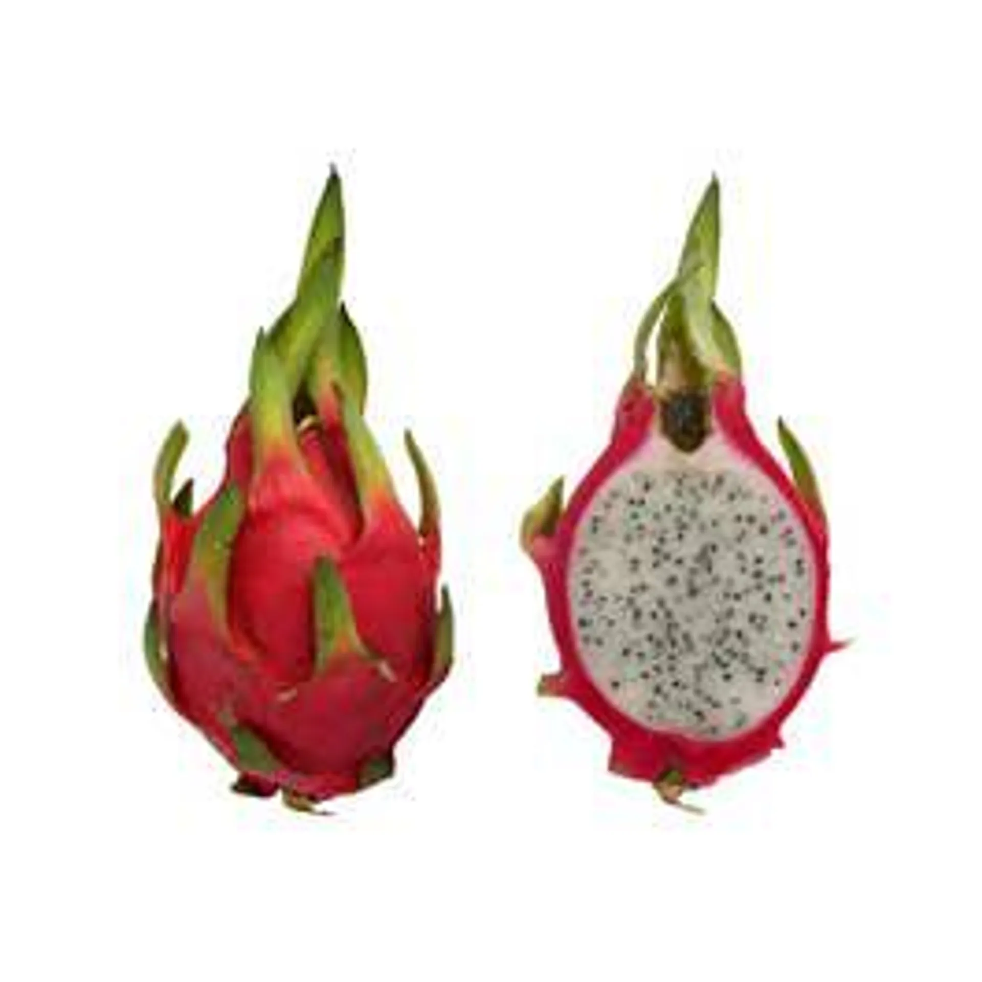 Dragon Fruit - Vietnam