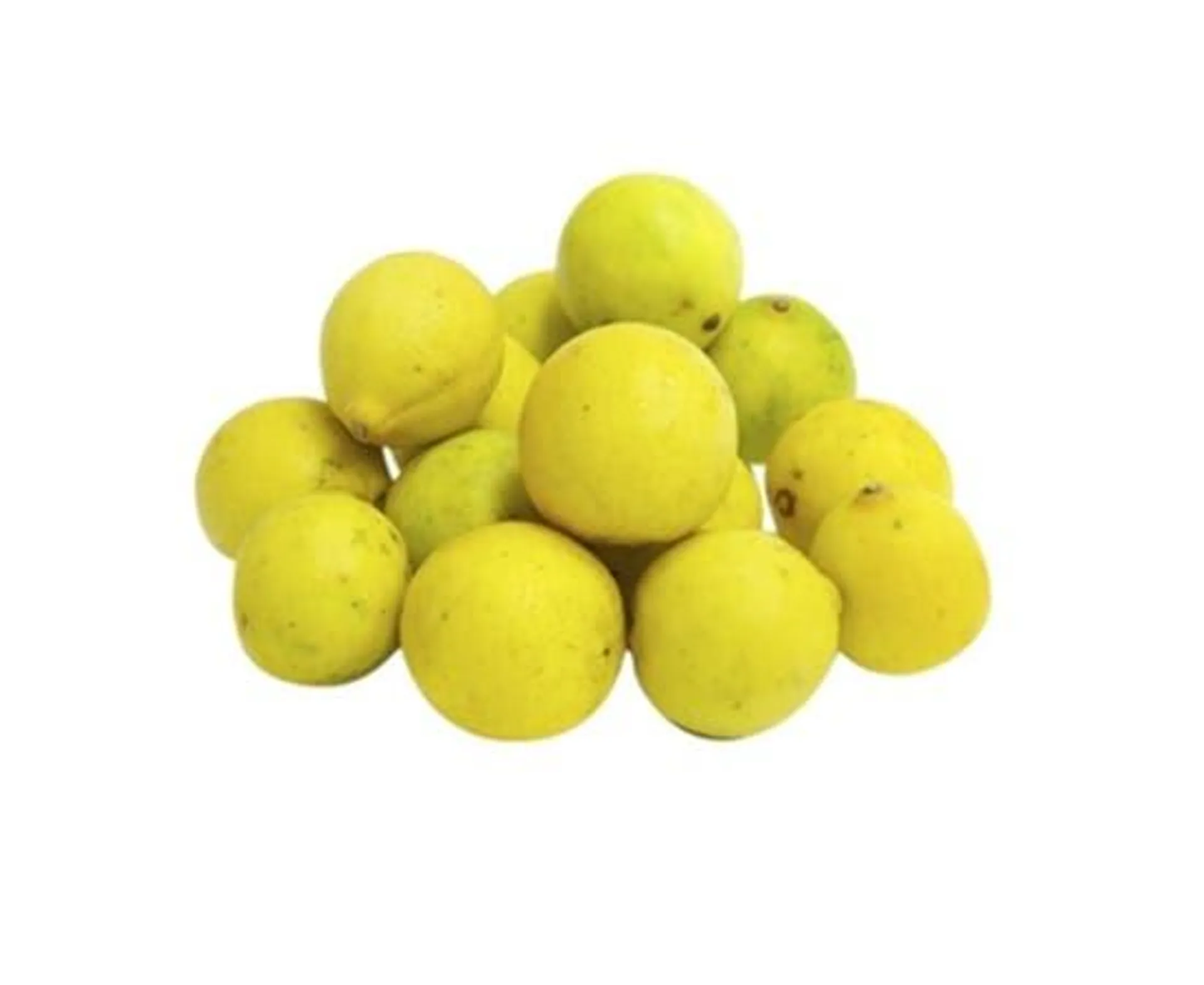 Lime - India