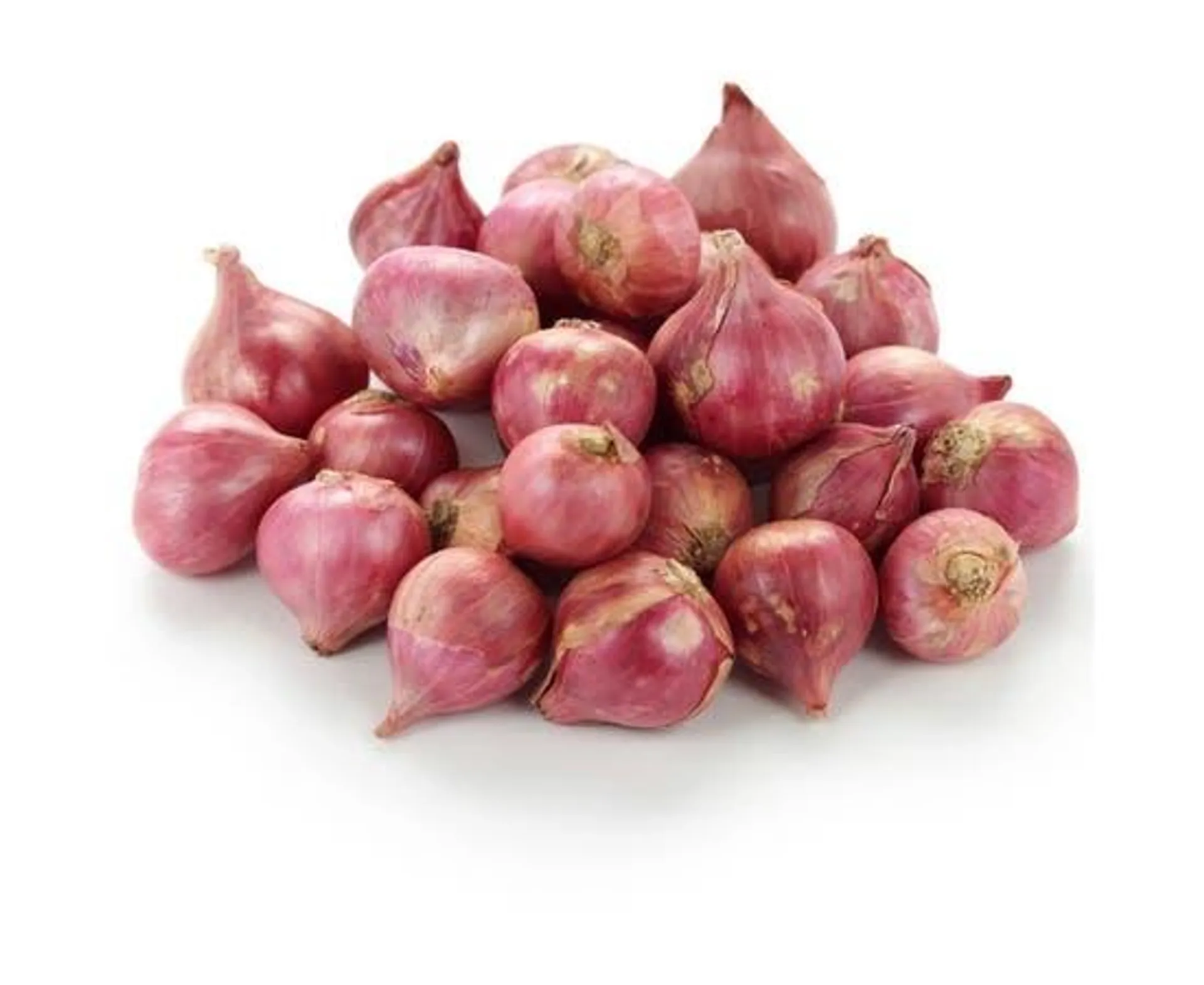 Shallot - India