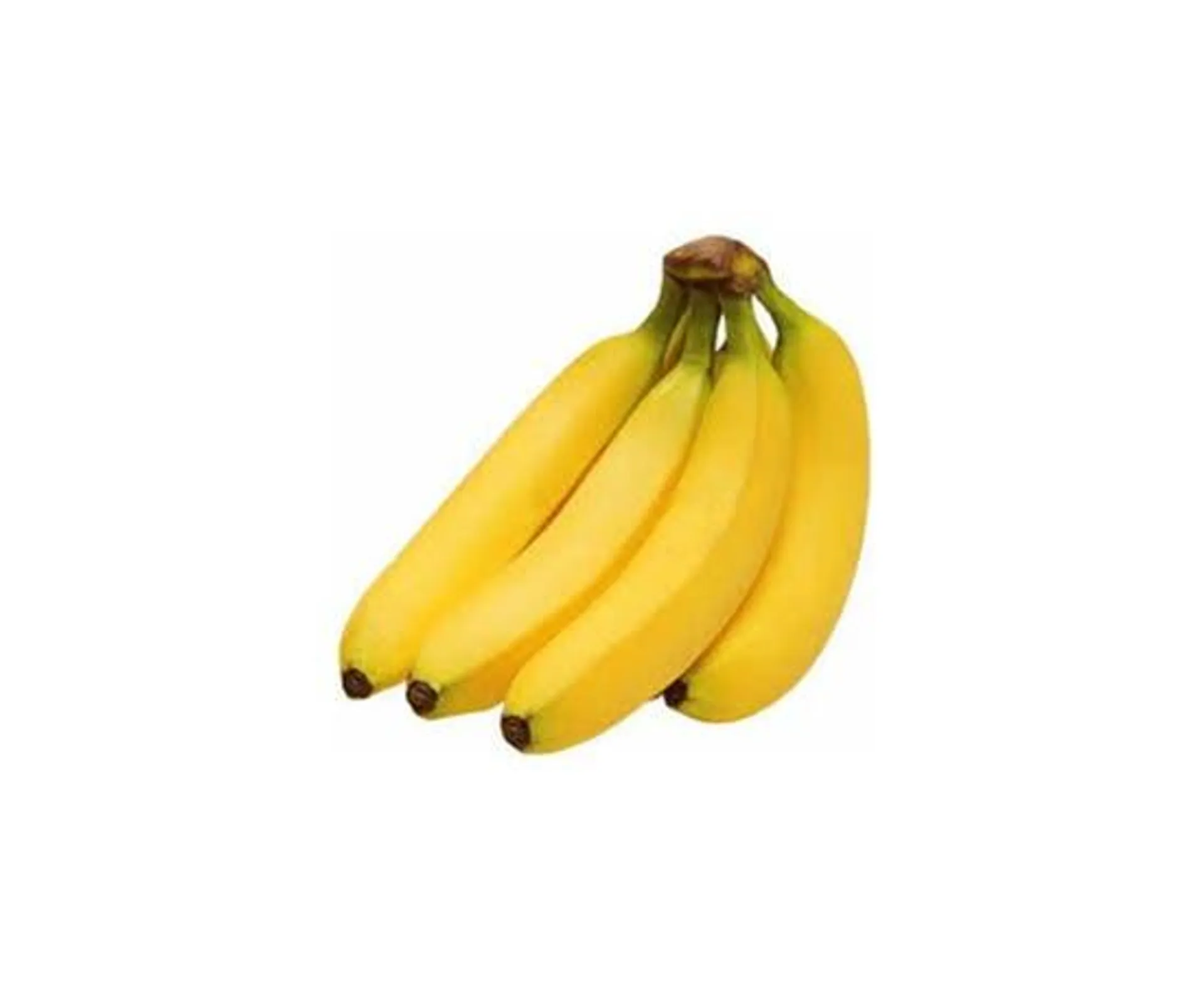 Organic Chiquita Banana - Equador