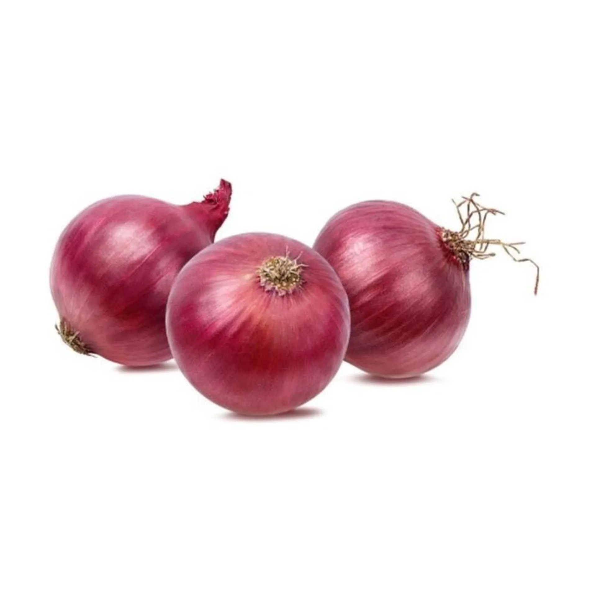 Onion