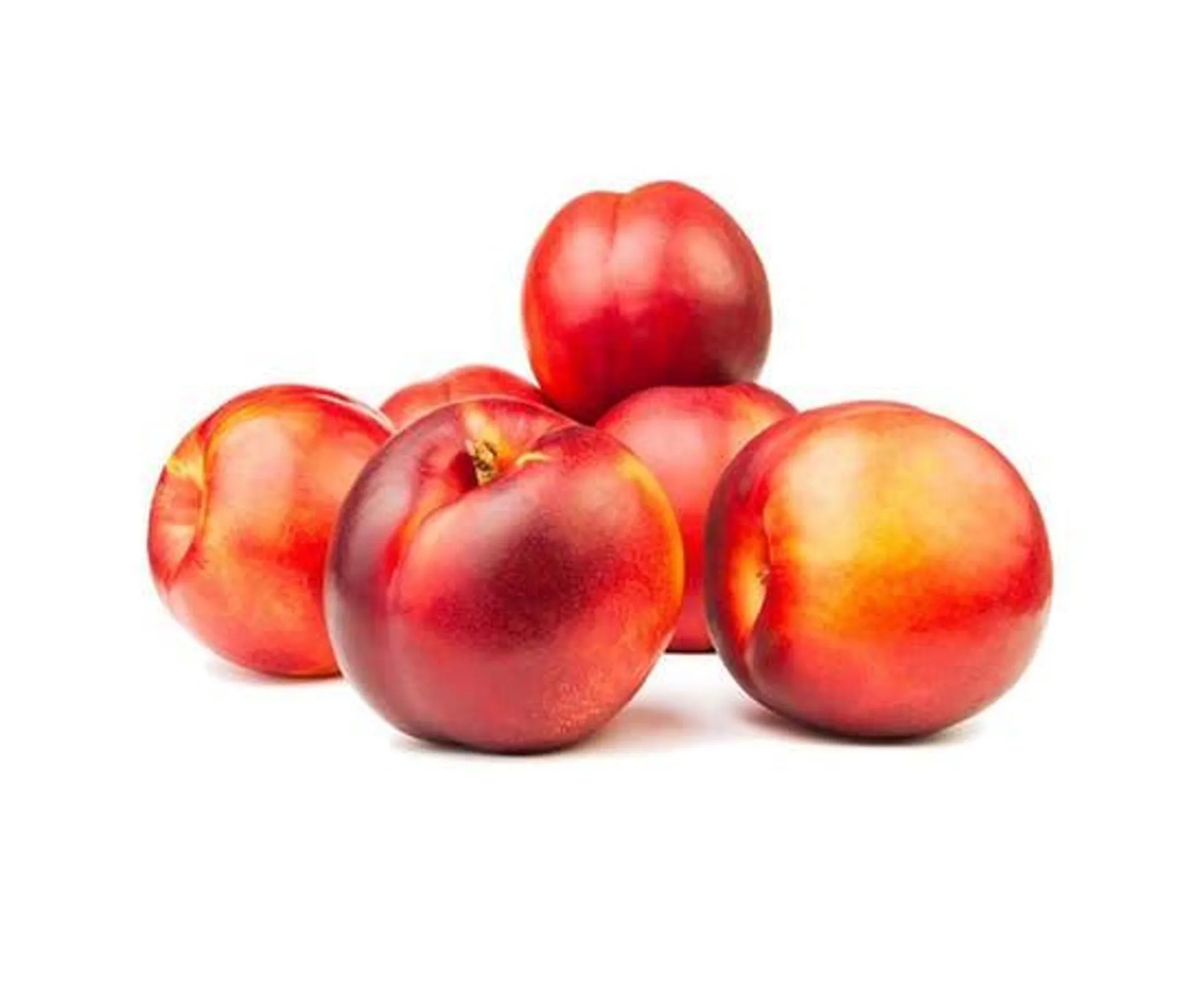 Nectarine - Tunisia