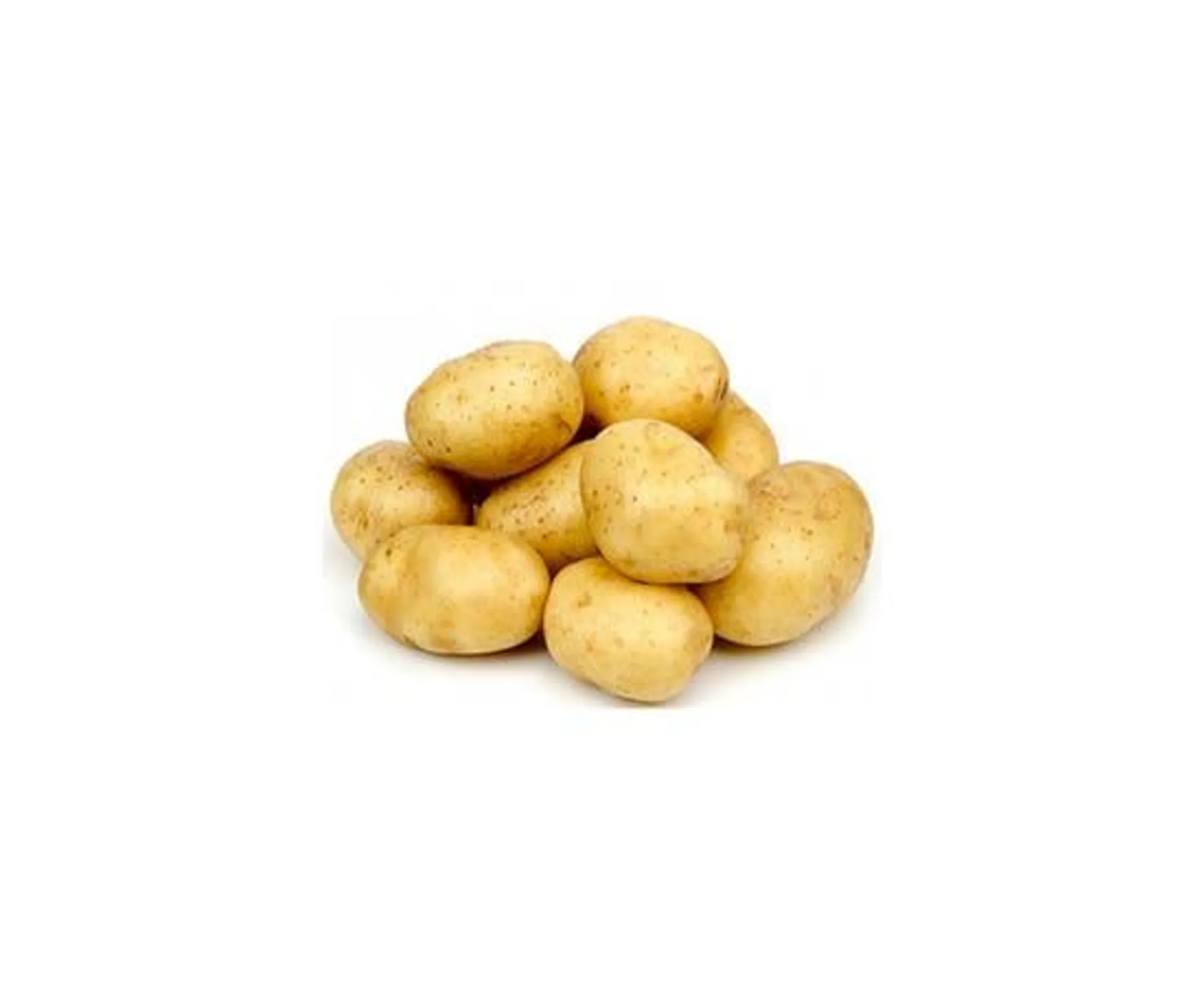 Potato - Syria