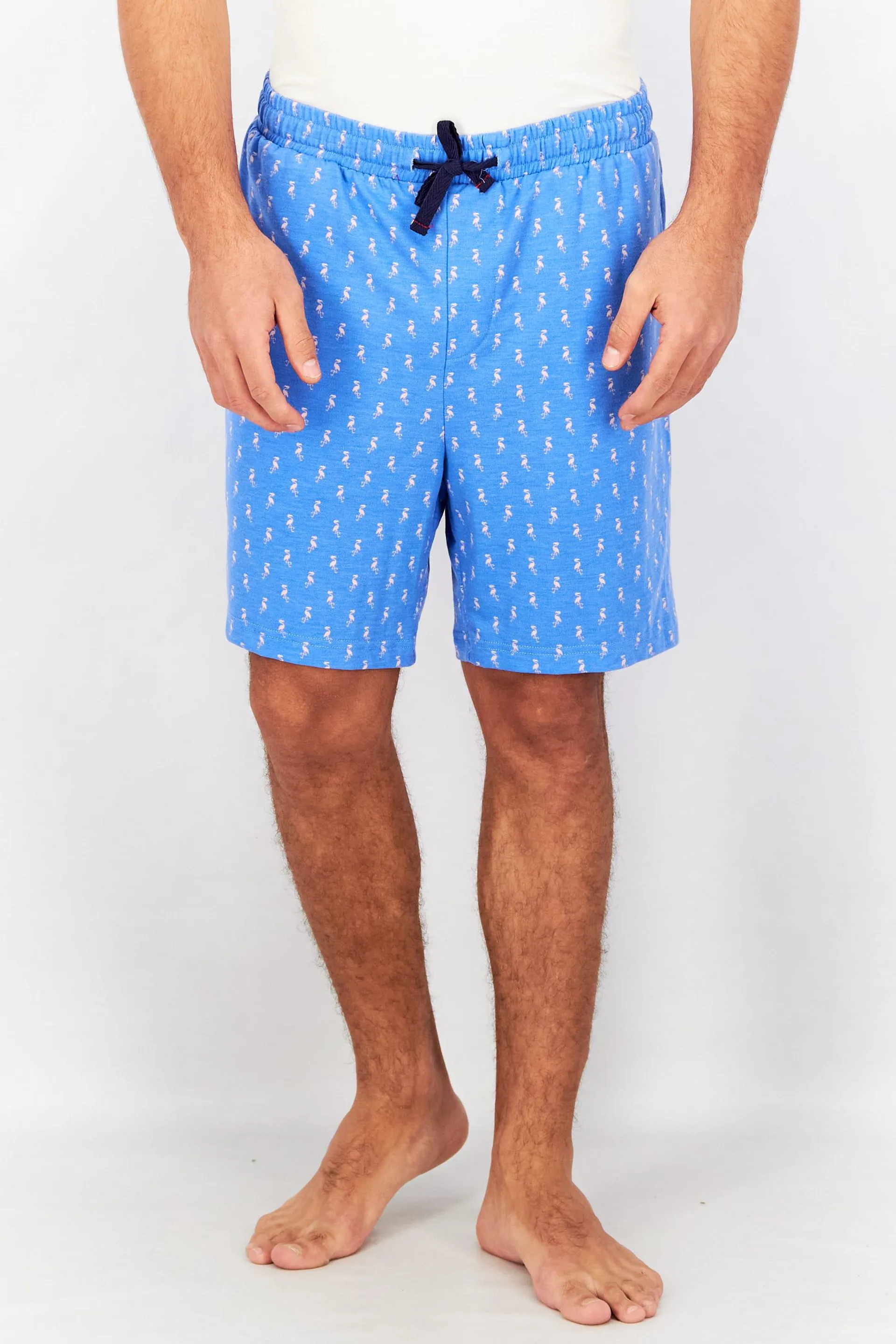 Men Allover Print Pajama Short, Blue/Pink