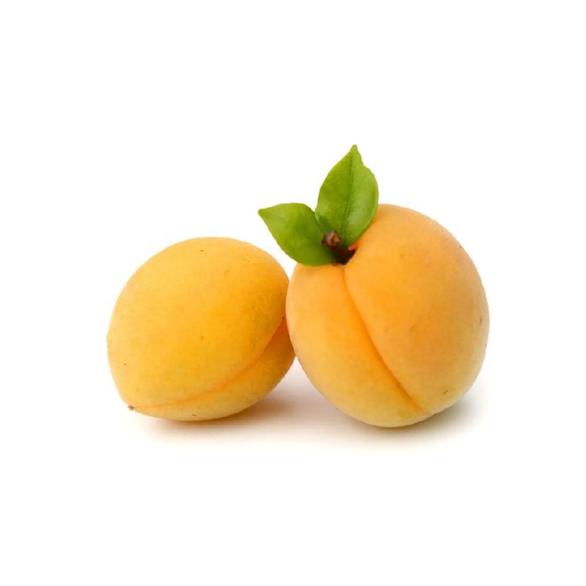 Apricot Ajami