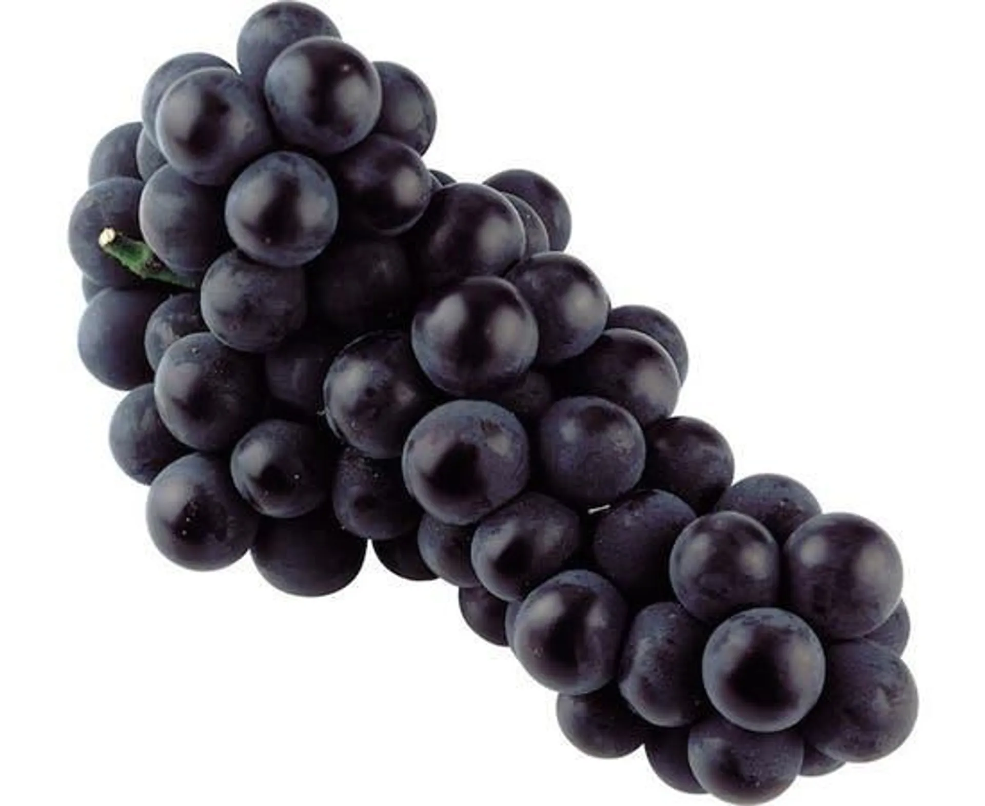 Black Grape India