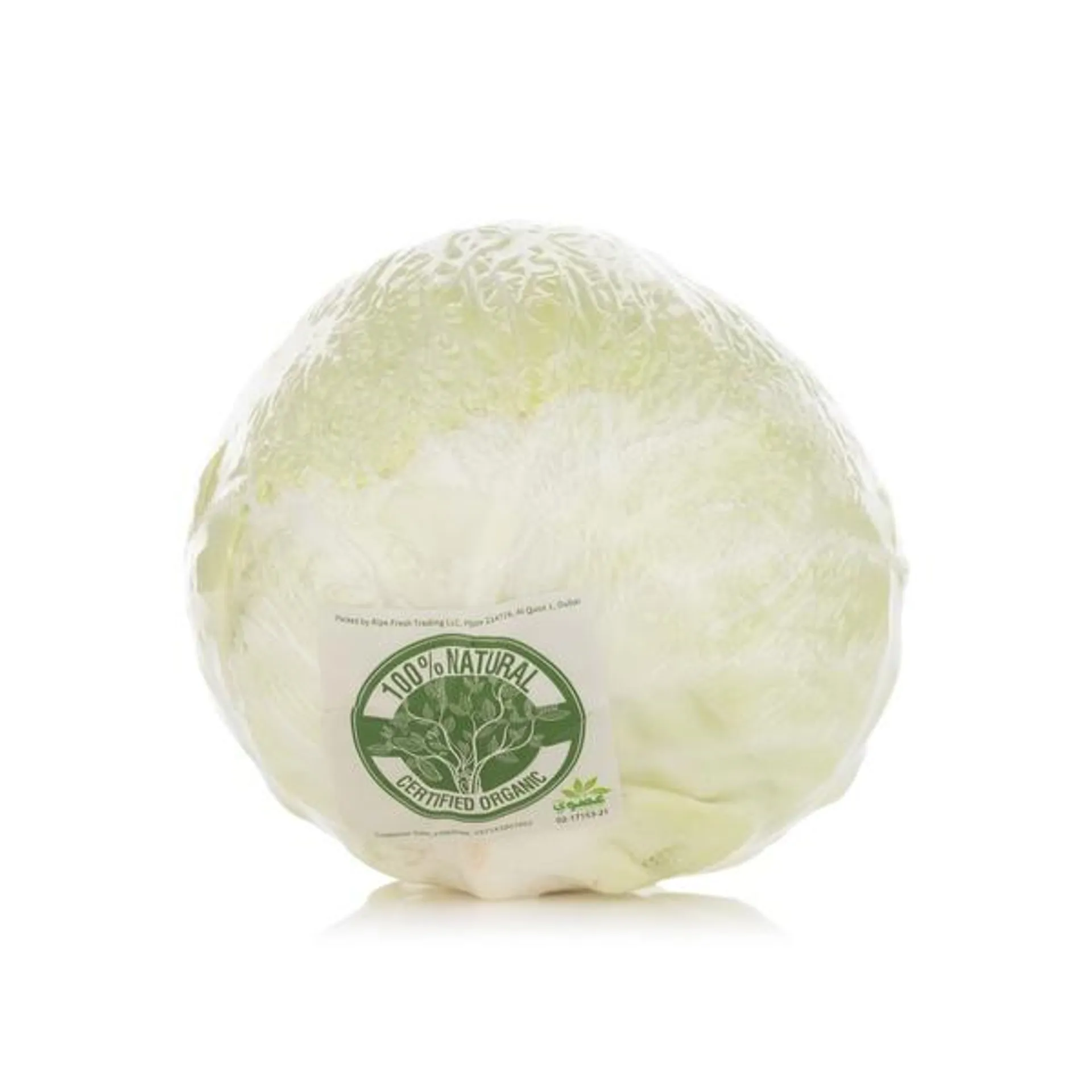 Loose organic white cabbage india