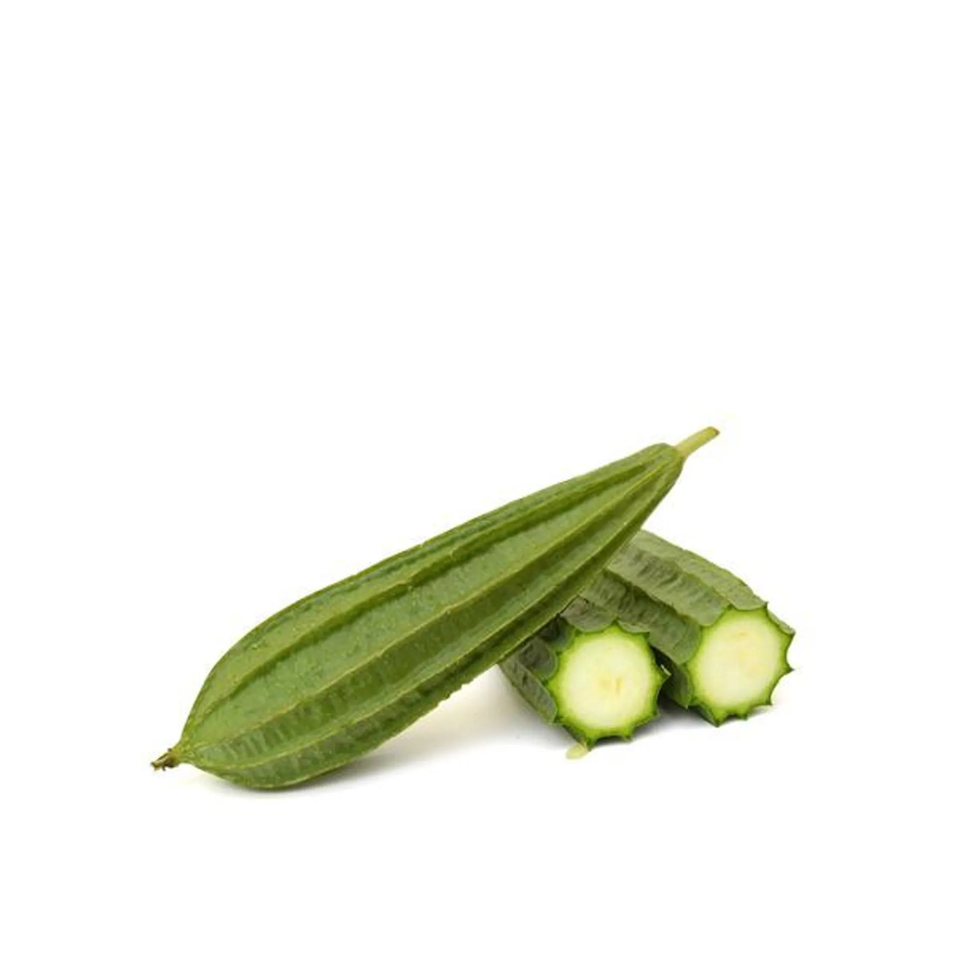 Turi India