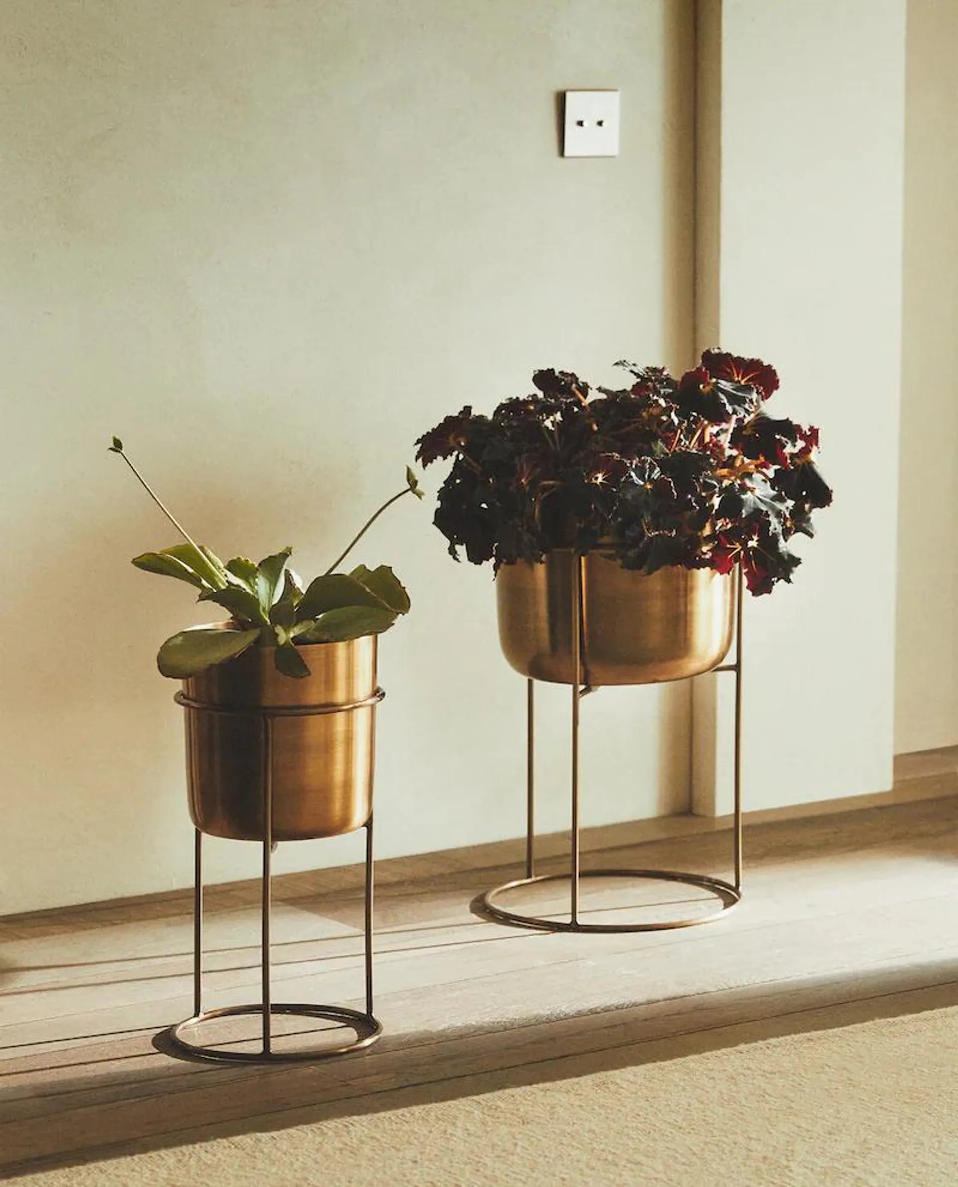 GOLD PLANTER