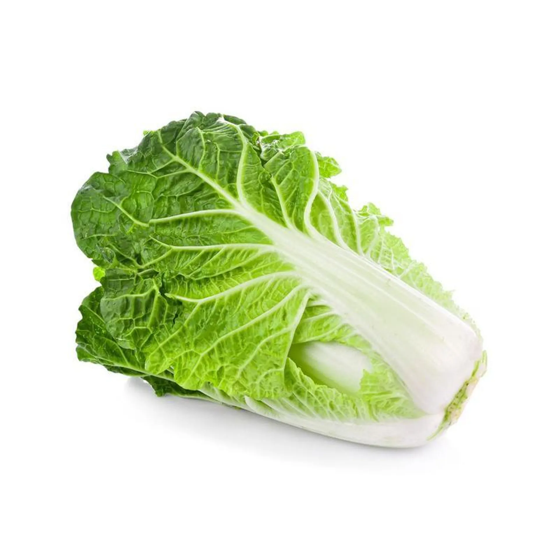 Cabbage Chinese