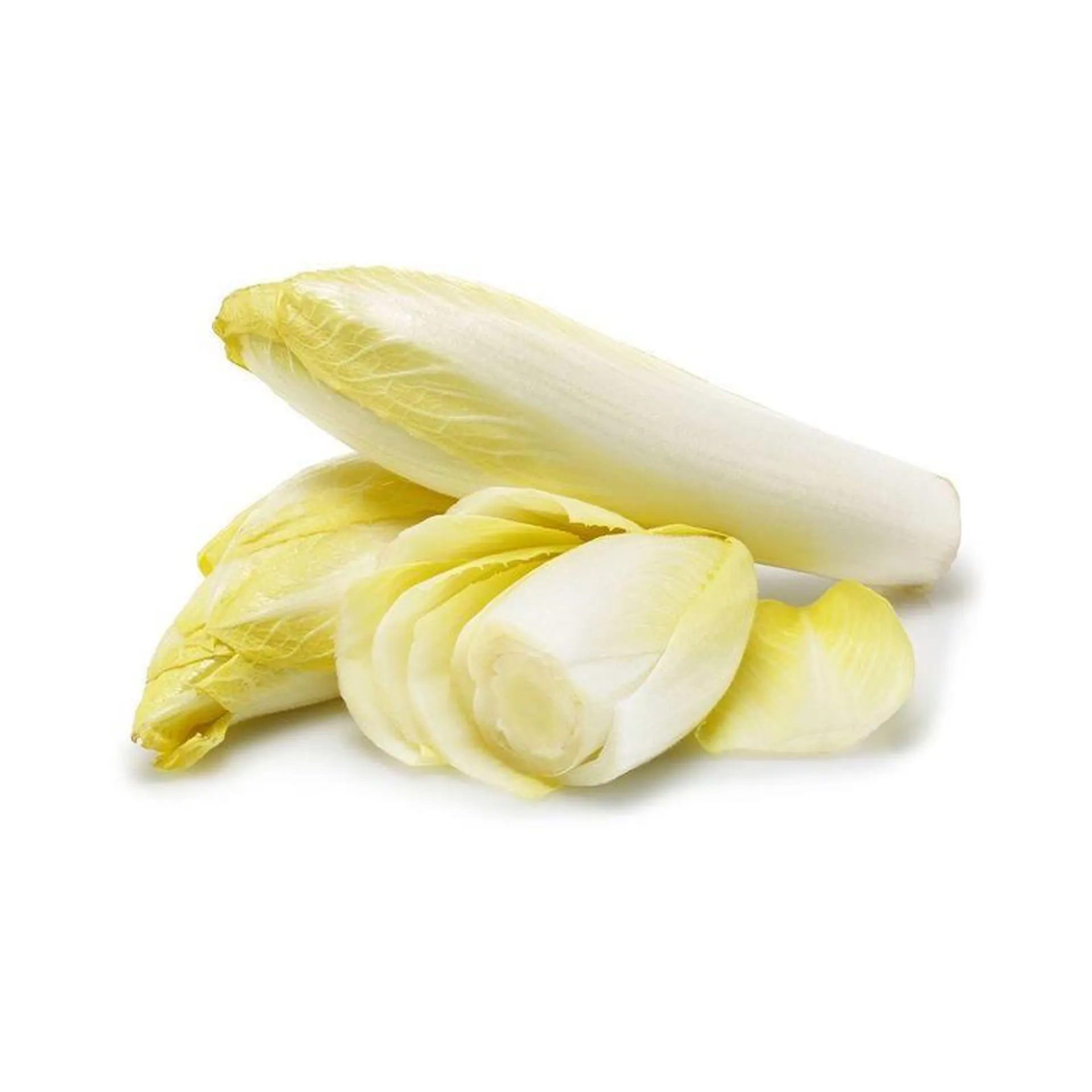 Chicory