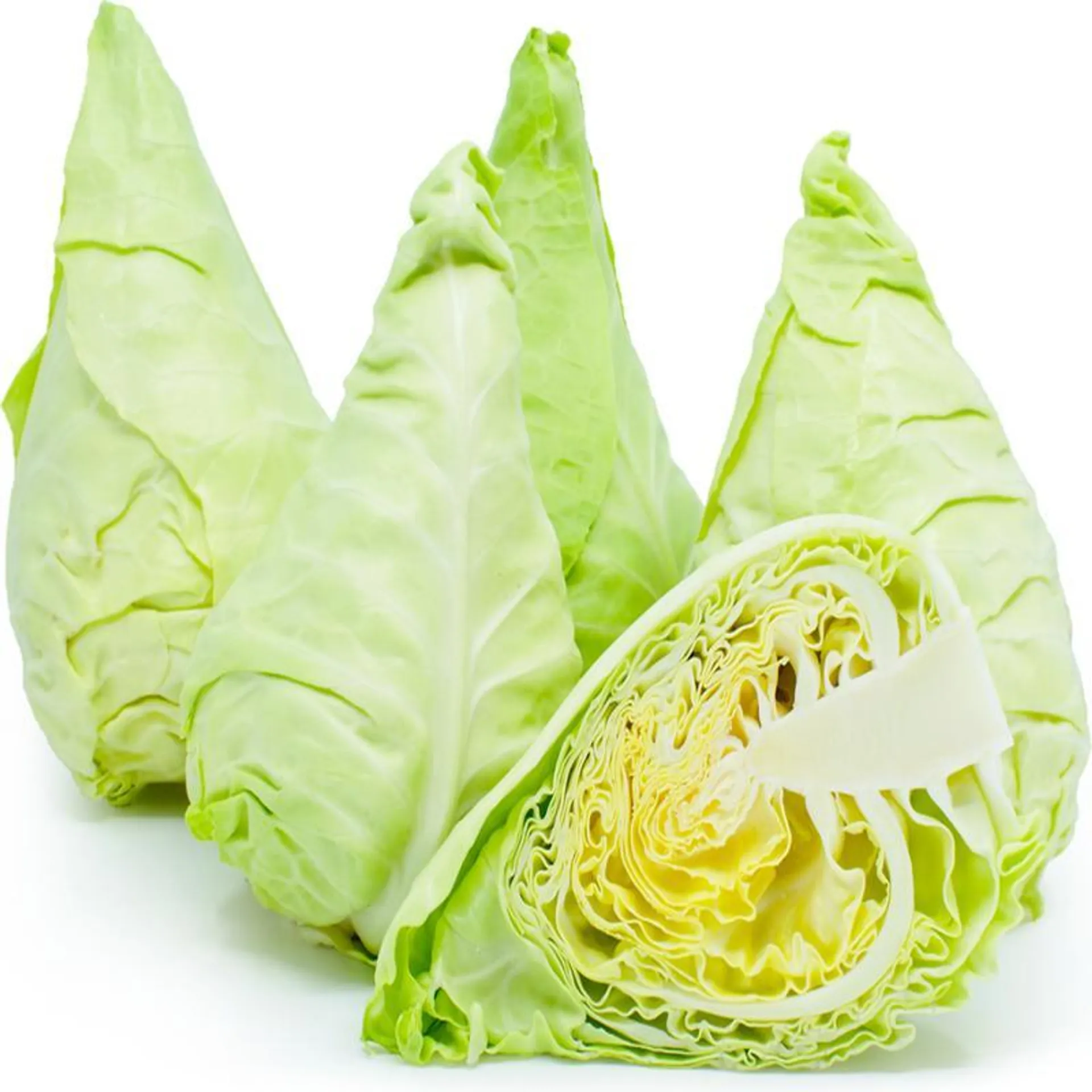 Cabbage Spring