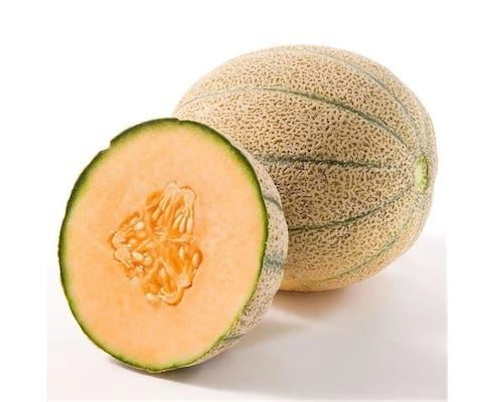 Rock Melon - Iran