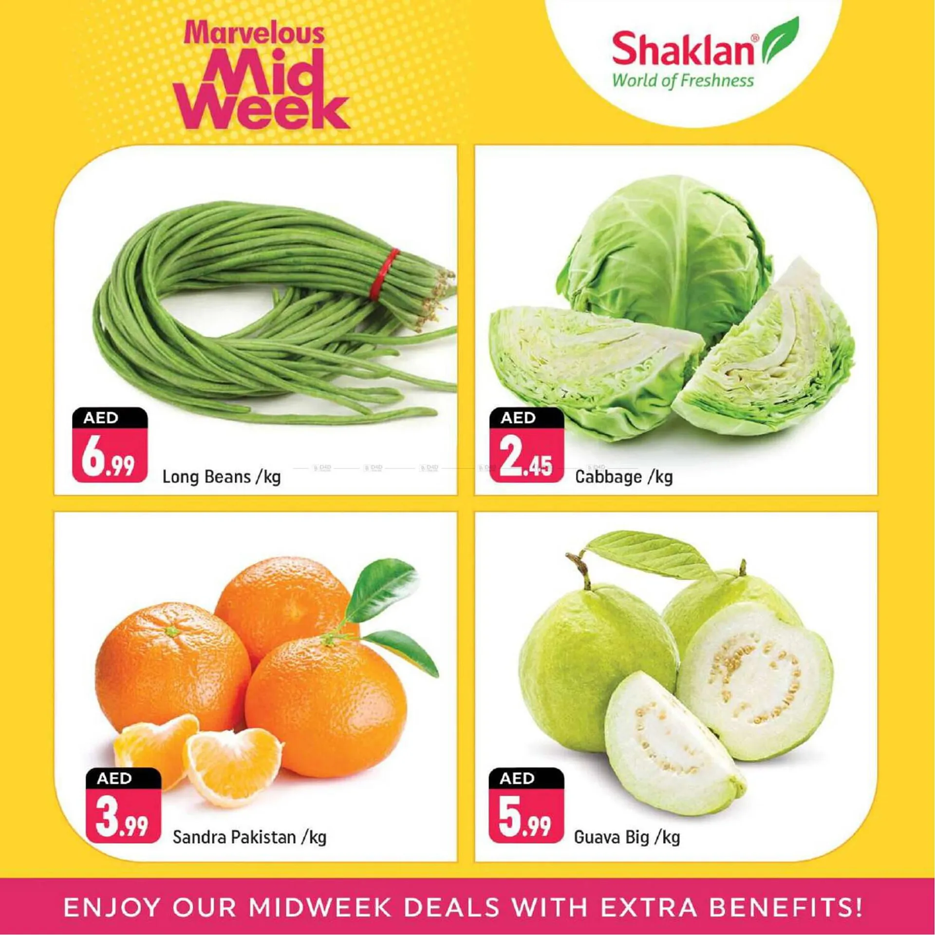 Shaklan catalogue from 24 February to 26 February 2025 - Offers page 4