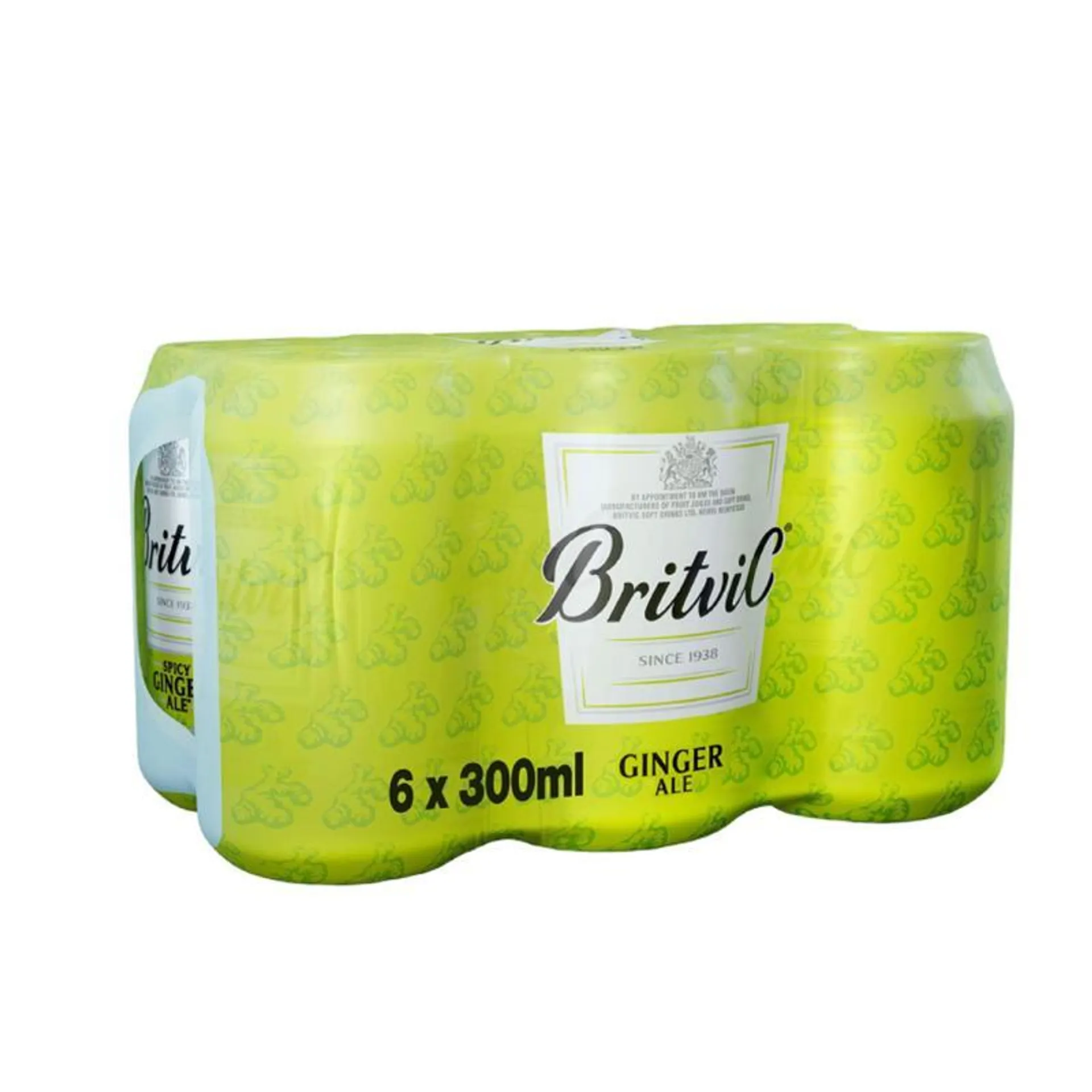 Britvic Ginger Water Can 300mlx6