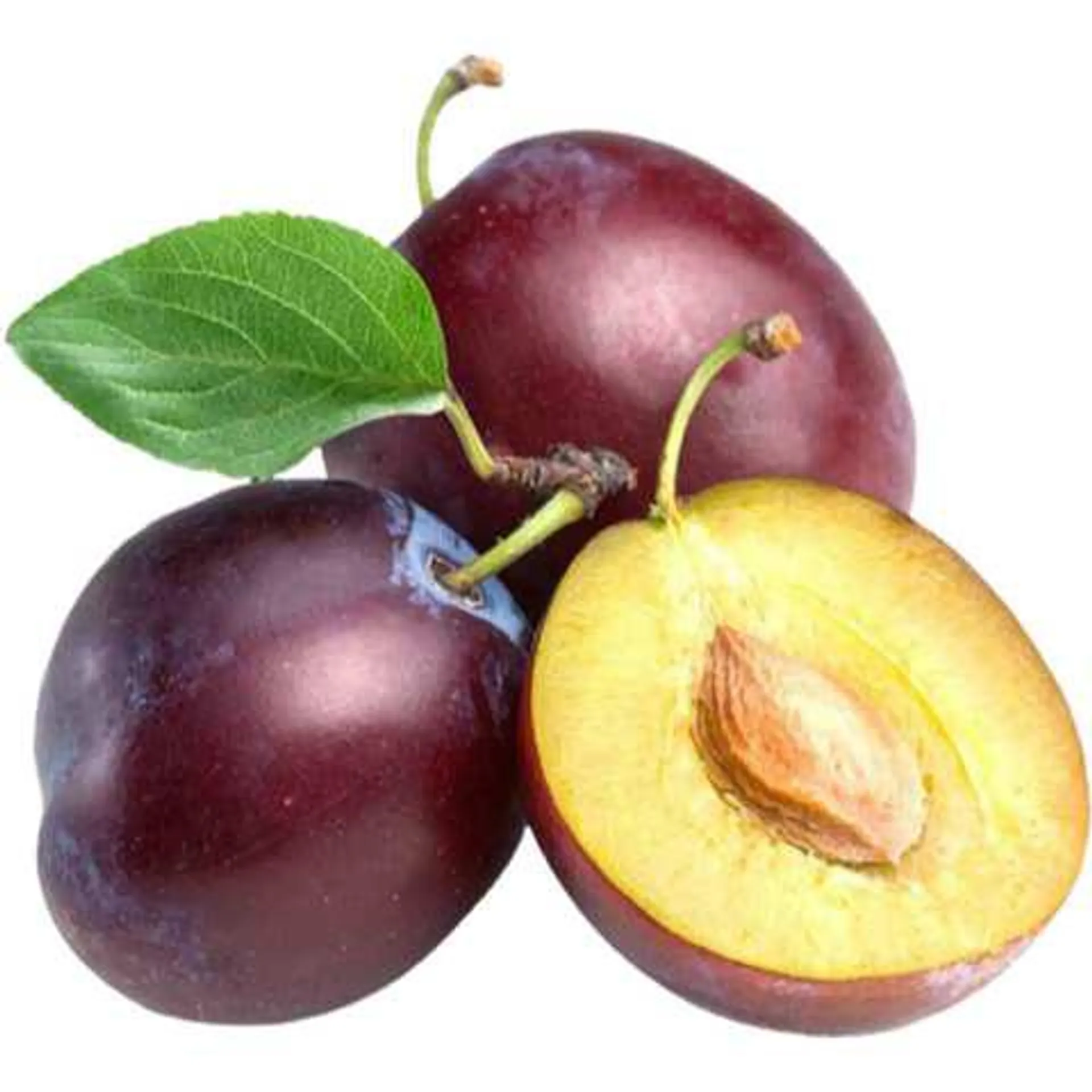 Black Plum