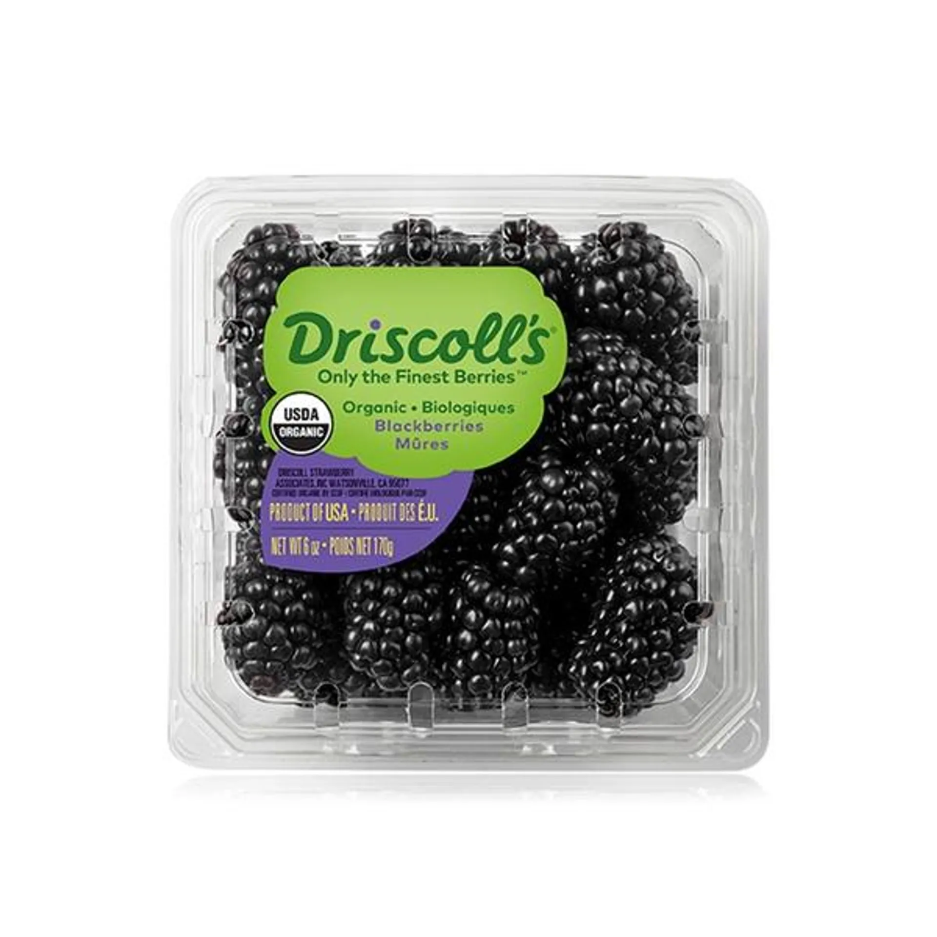 Driscoll's organic blackberries 170g