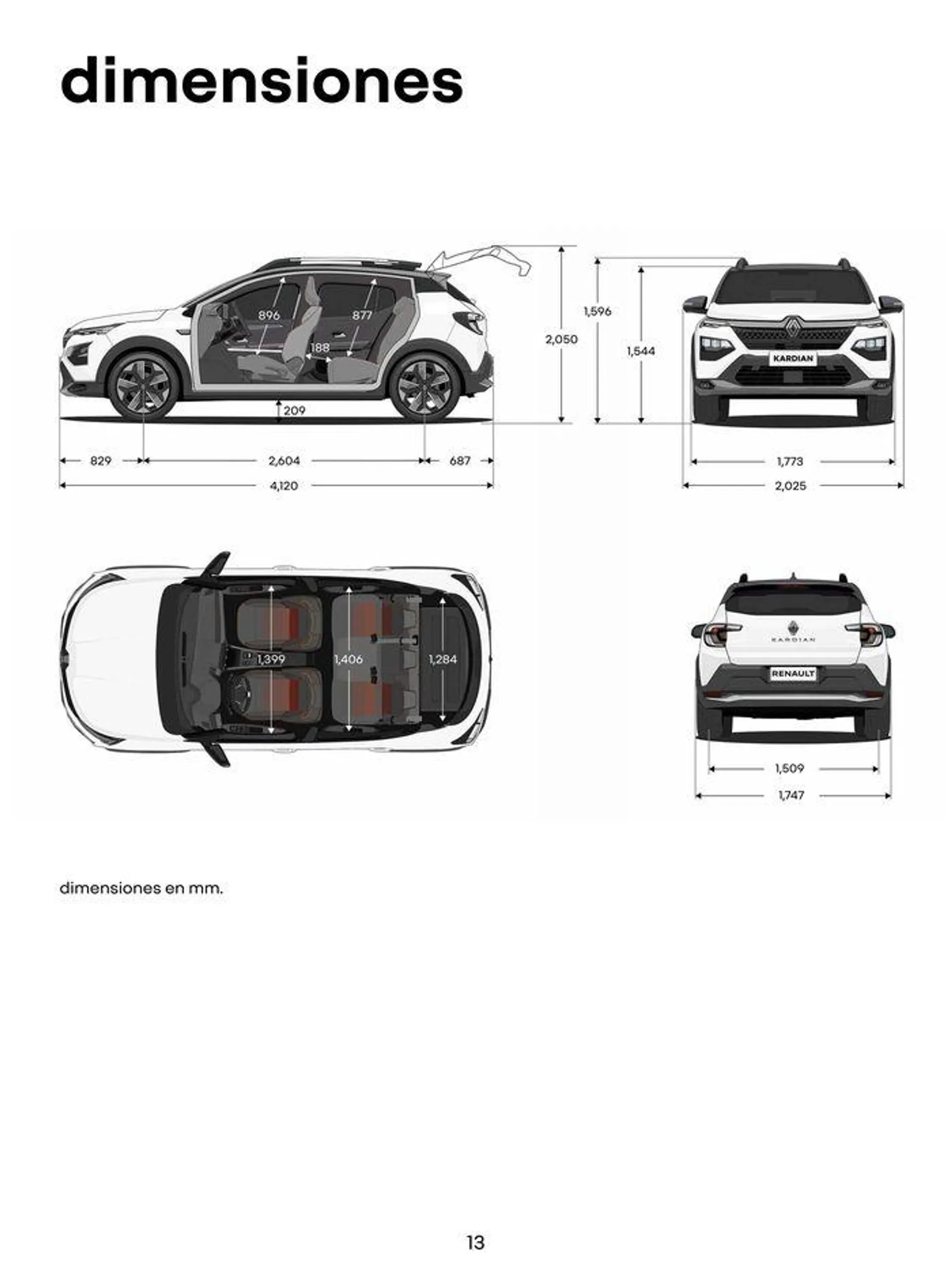 Renault Kardian - 13