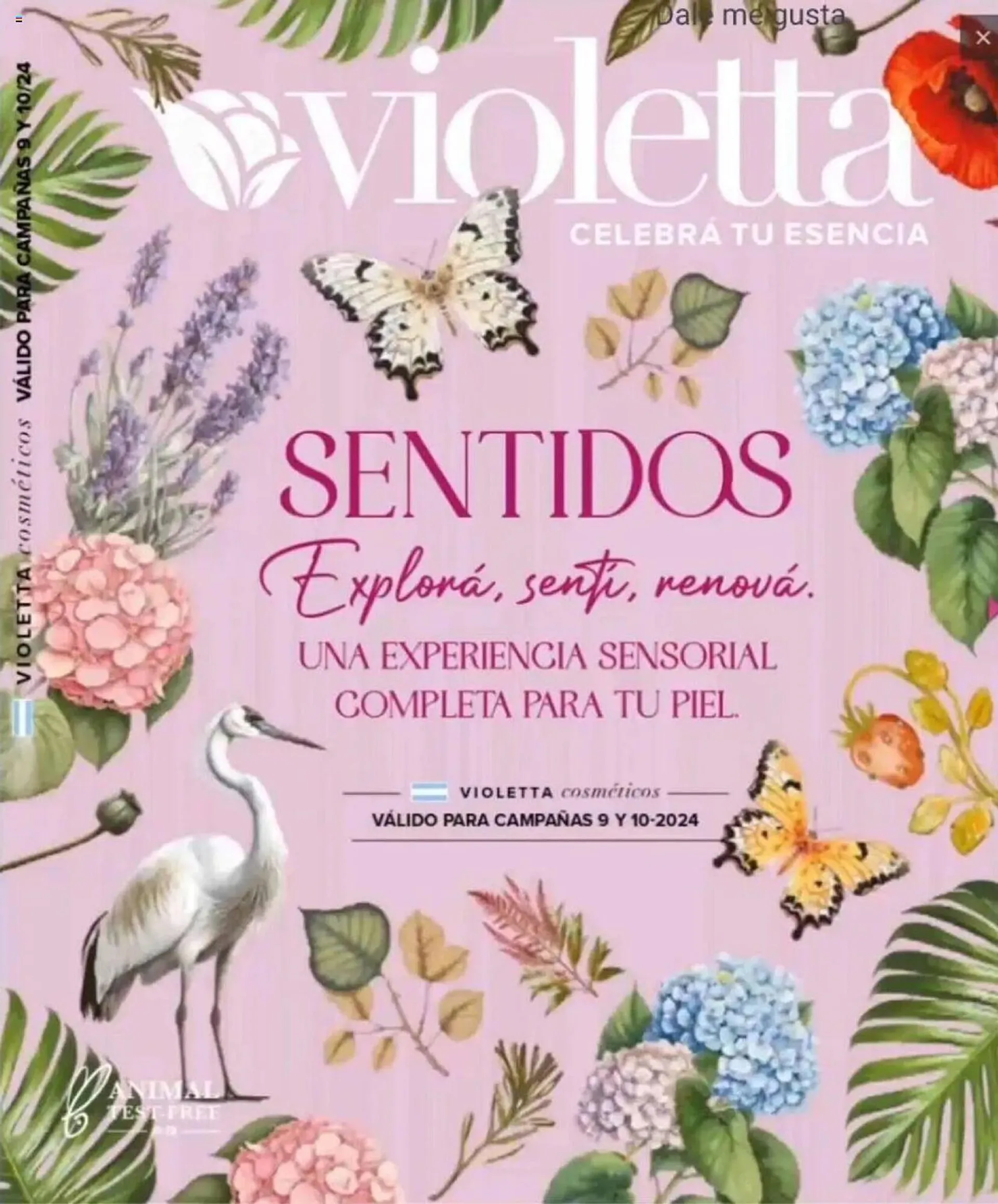 Catálogo Violetta Cosméticos - 1