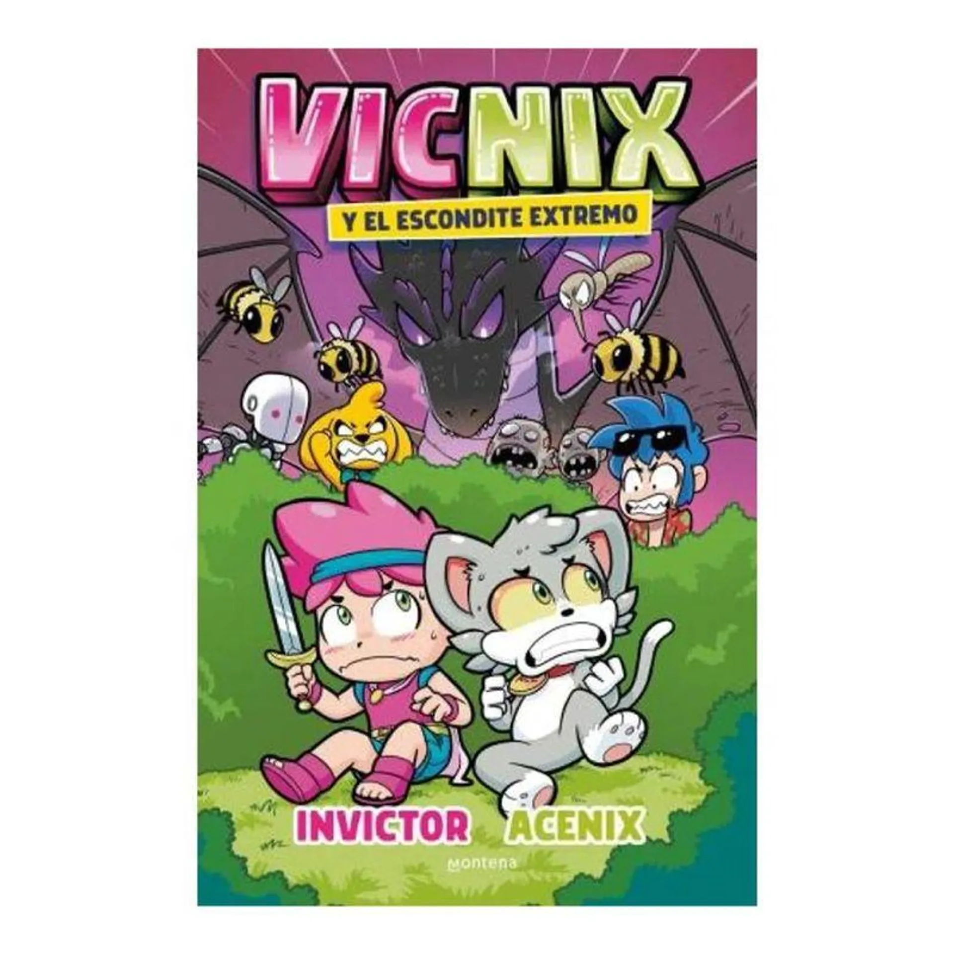 LIBRO VICNIX Y EL ESCONDITE EXTREMO