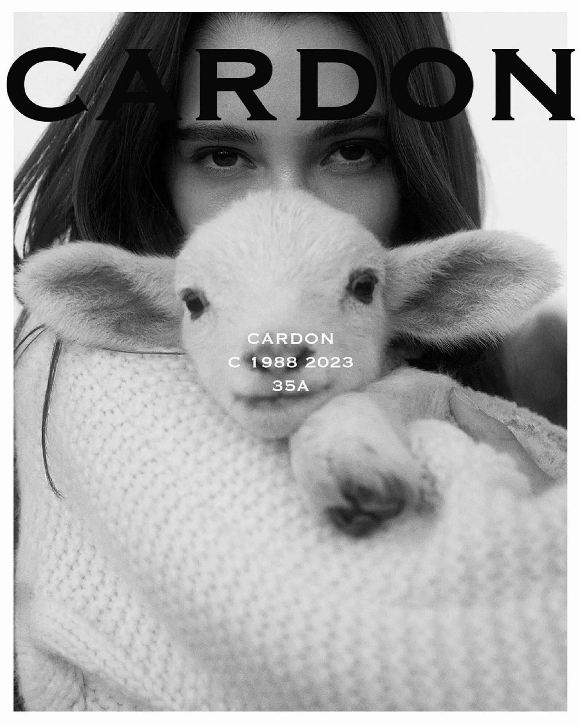 Catálogo Cardon