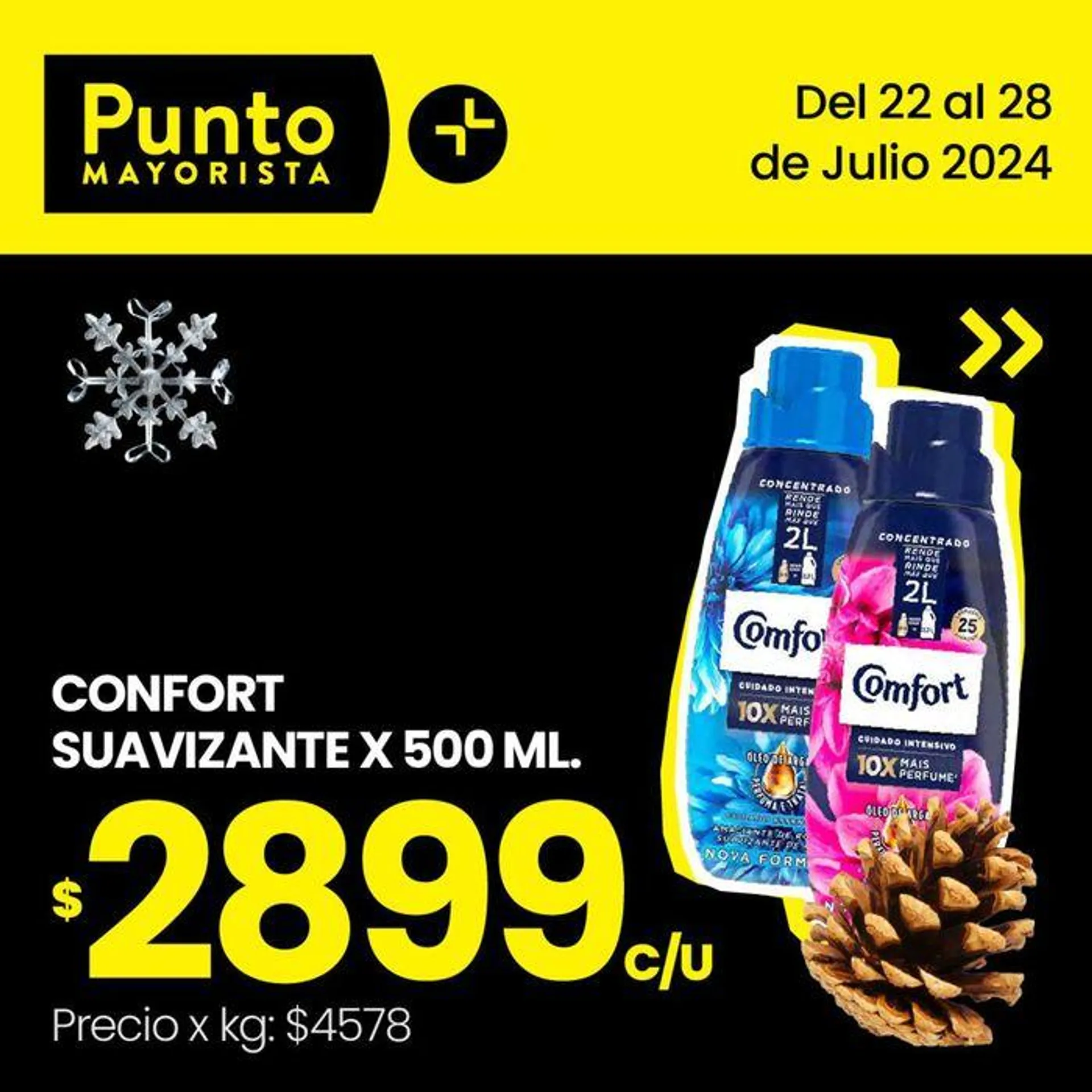 Ofertas de Ofertas Punto Mayorista 23 de julio al 28 de julio 2024 - Página 6 del catálogo