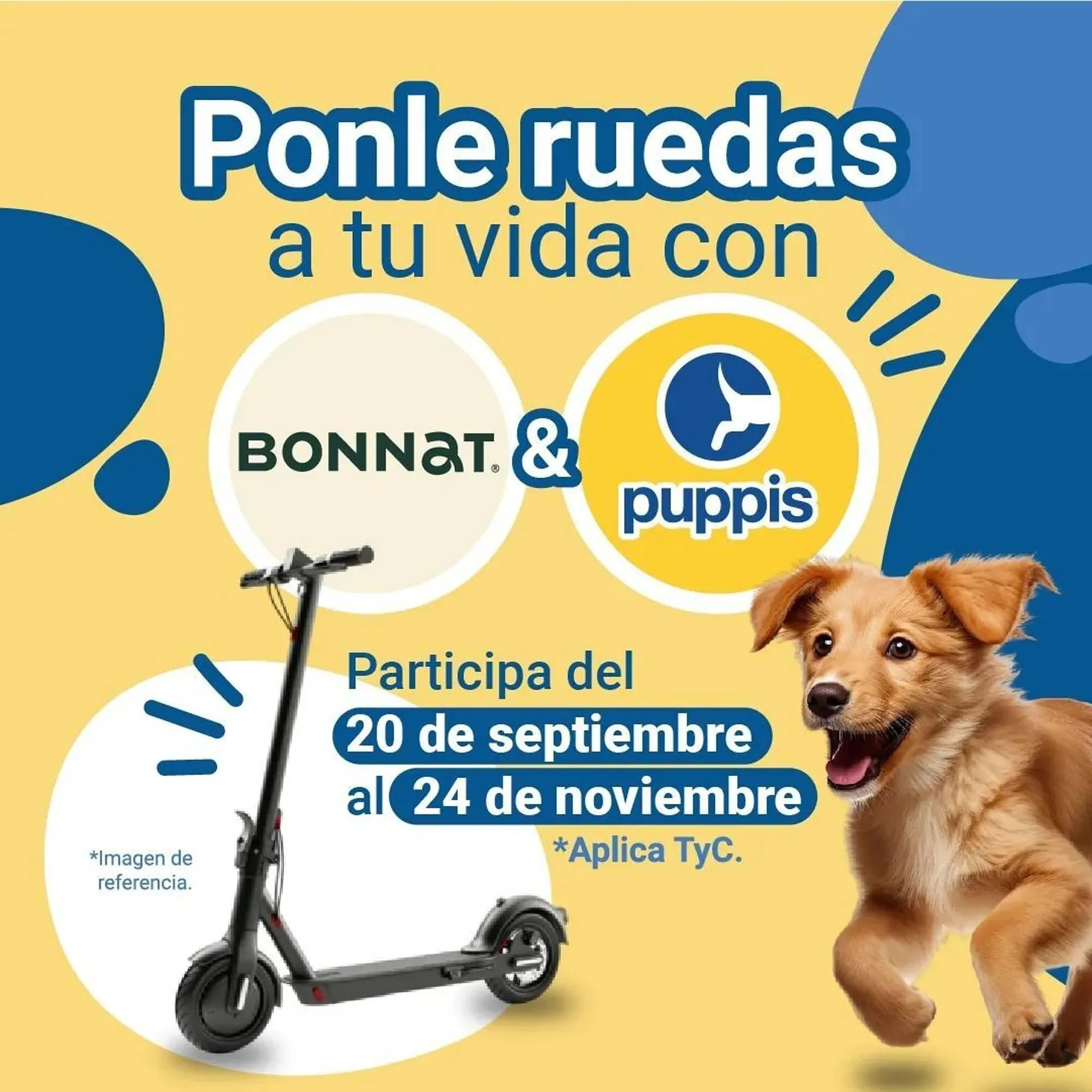 Ofertas de Catálogo Puppis 20 de septiembre al 24 de noviembre 2024 - Página  del catálogo