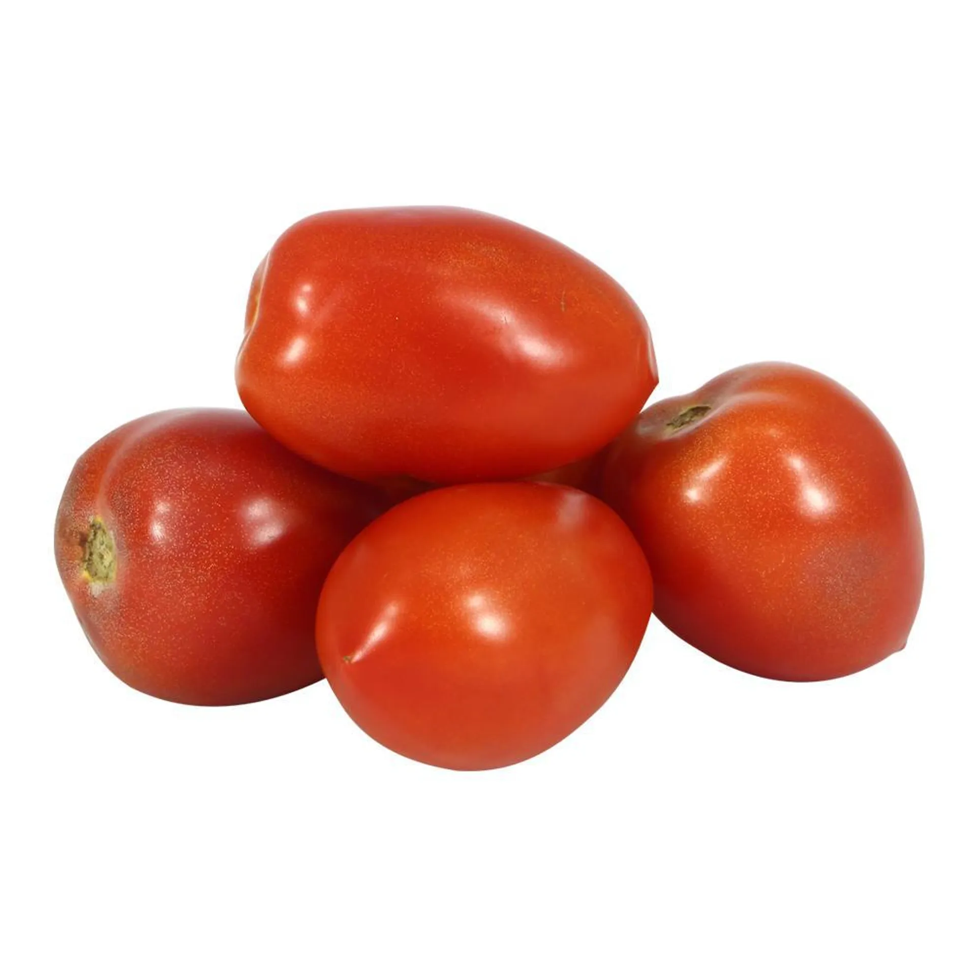 Tomate Perit . Xkg