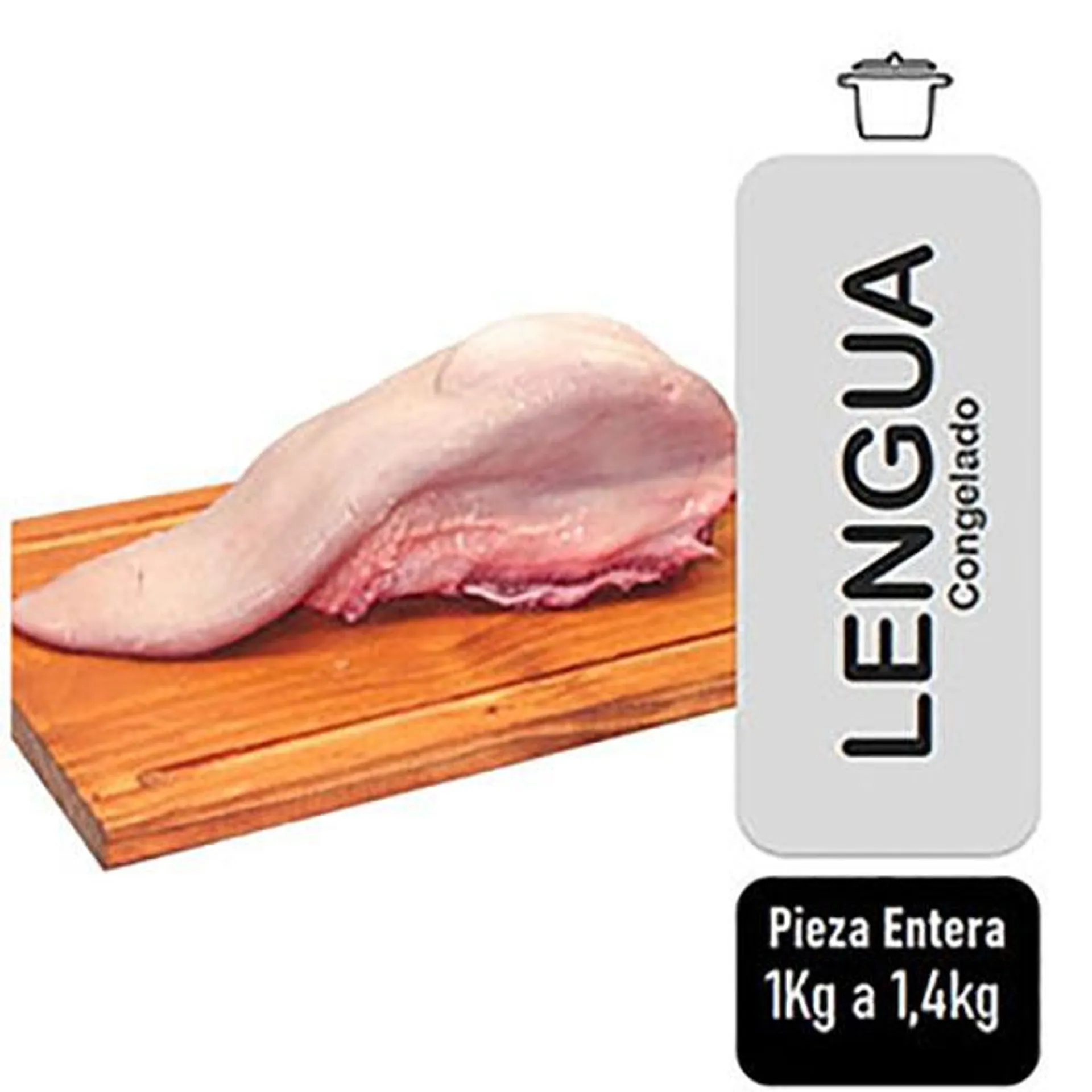LENGUA XKG