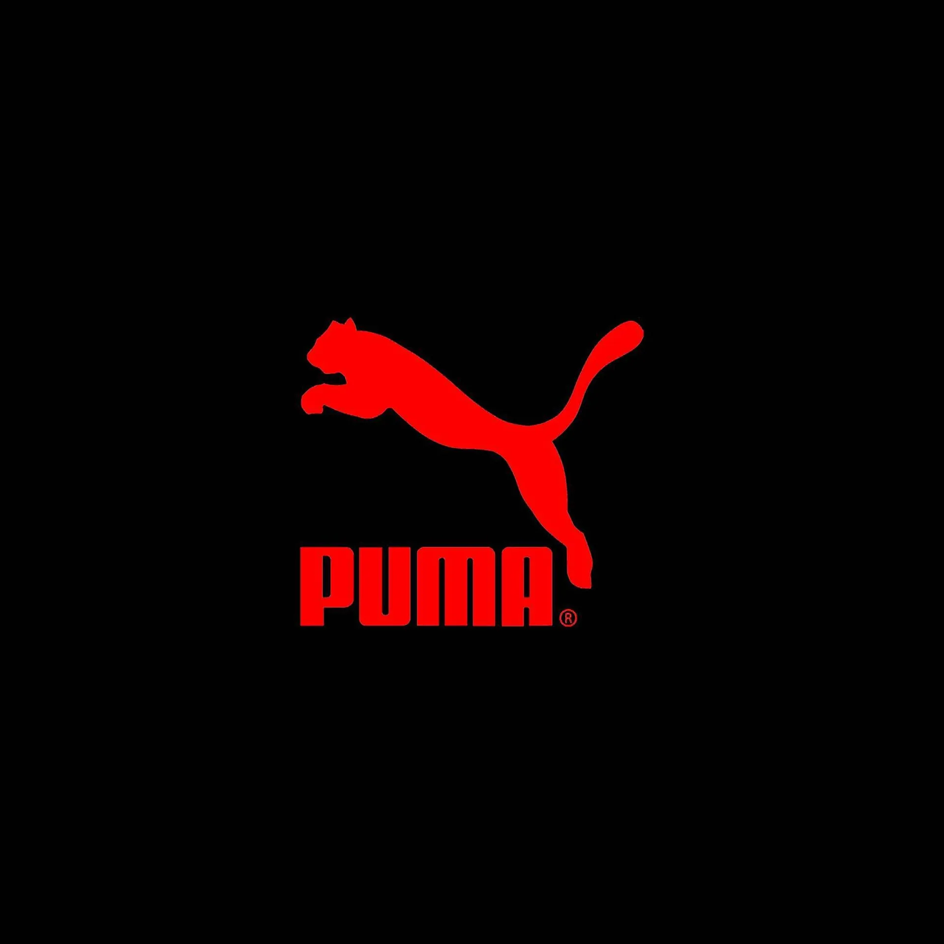 Catálogo Puma - 12