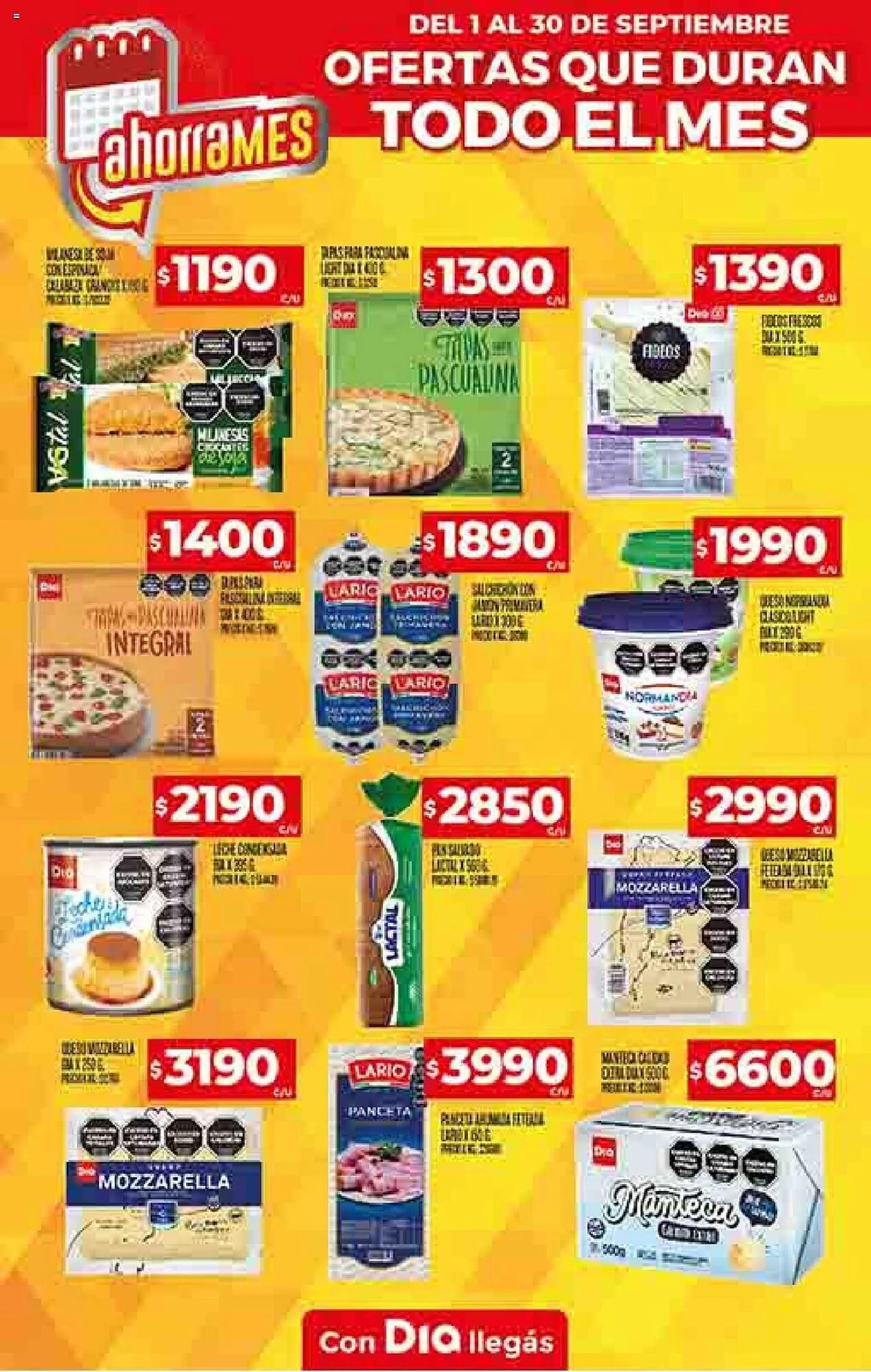 Ofertas de Catálogo Supermercados DIA 3 de octubre al 8 de octubre 2024 - Página 21 del catálogo