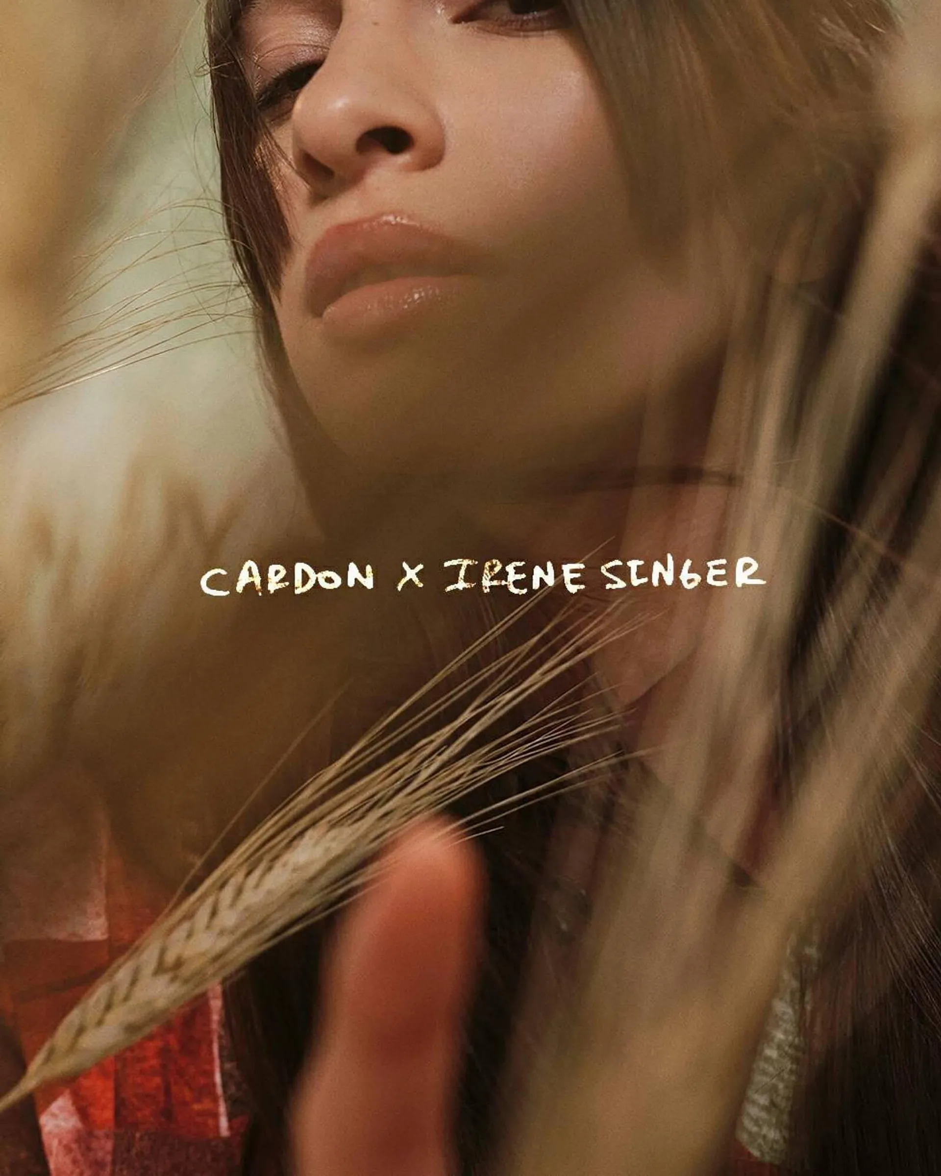 Catálogo Cardon - 2