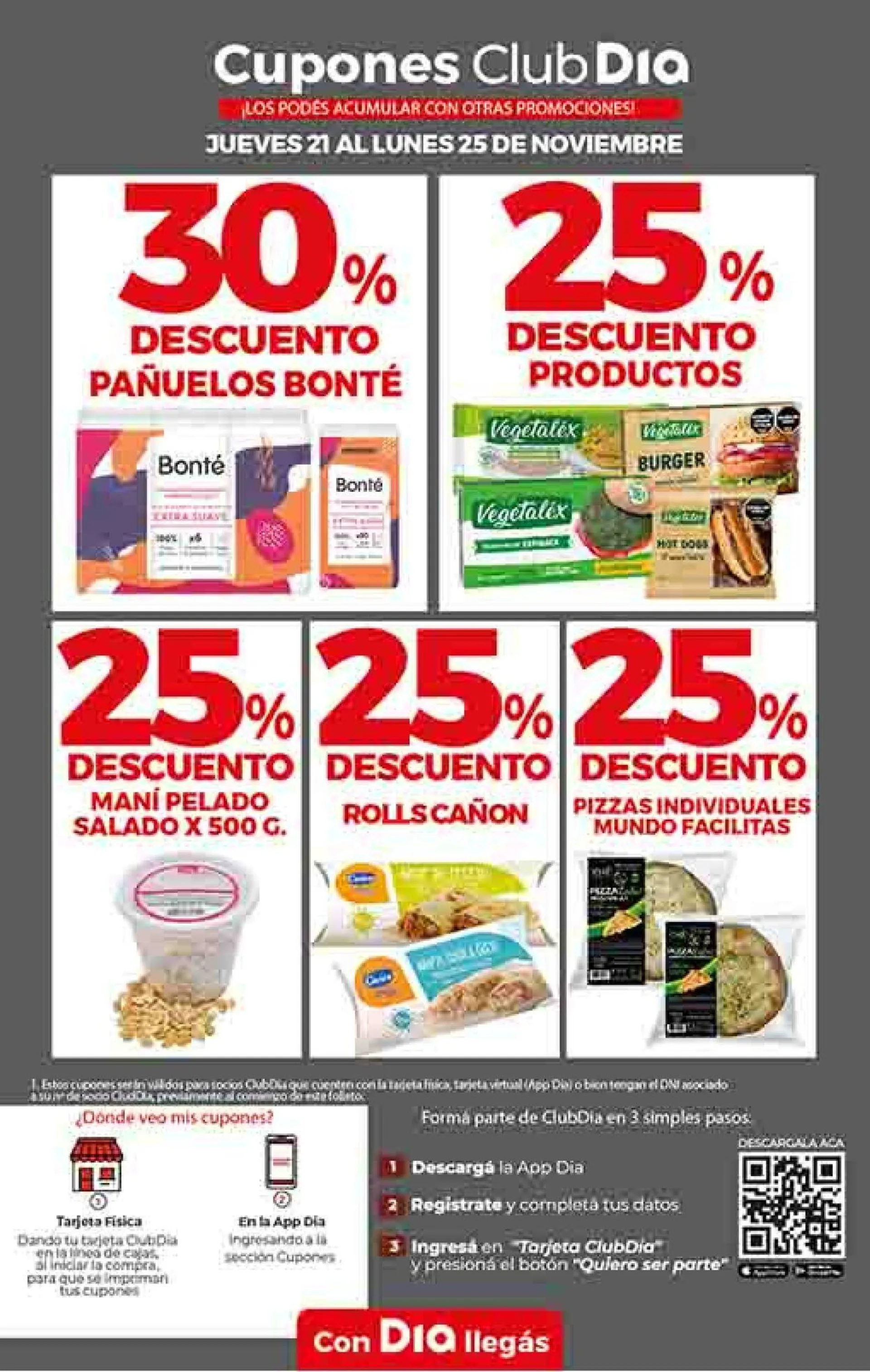 Ofertas de Dia 21 de noviembre al 8 de diciembre 2024 - Página 19 del catálogo