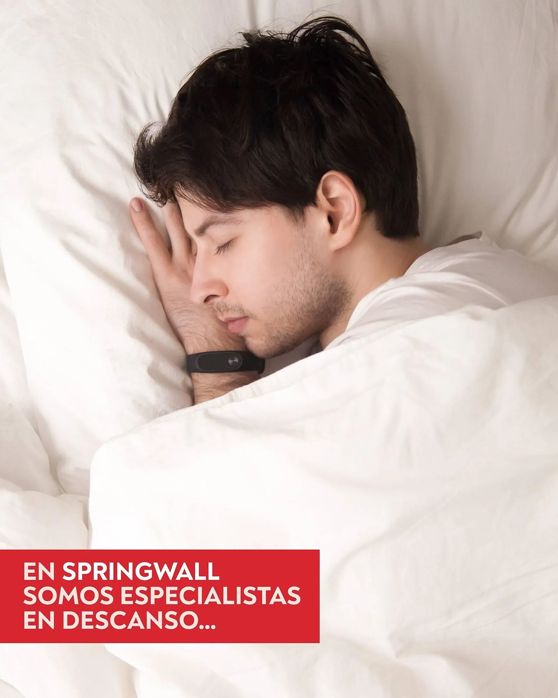 Catálogo Springwall - 1