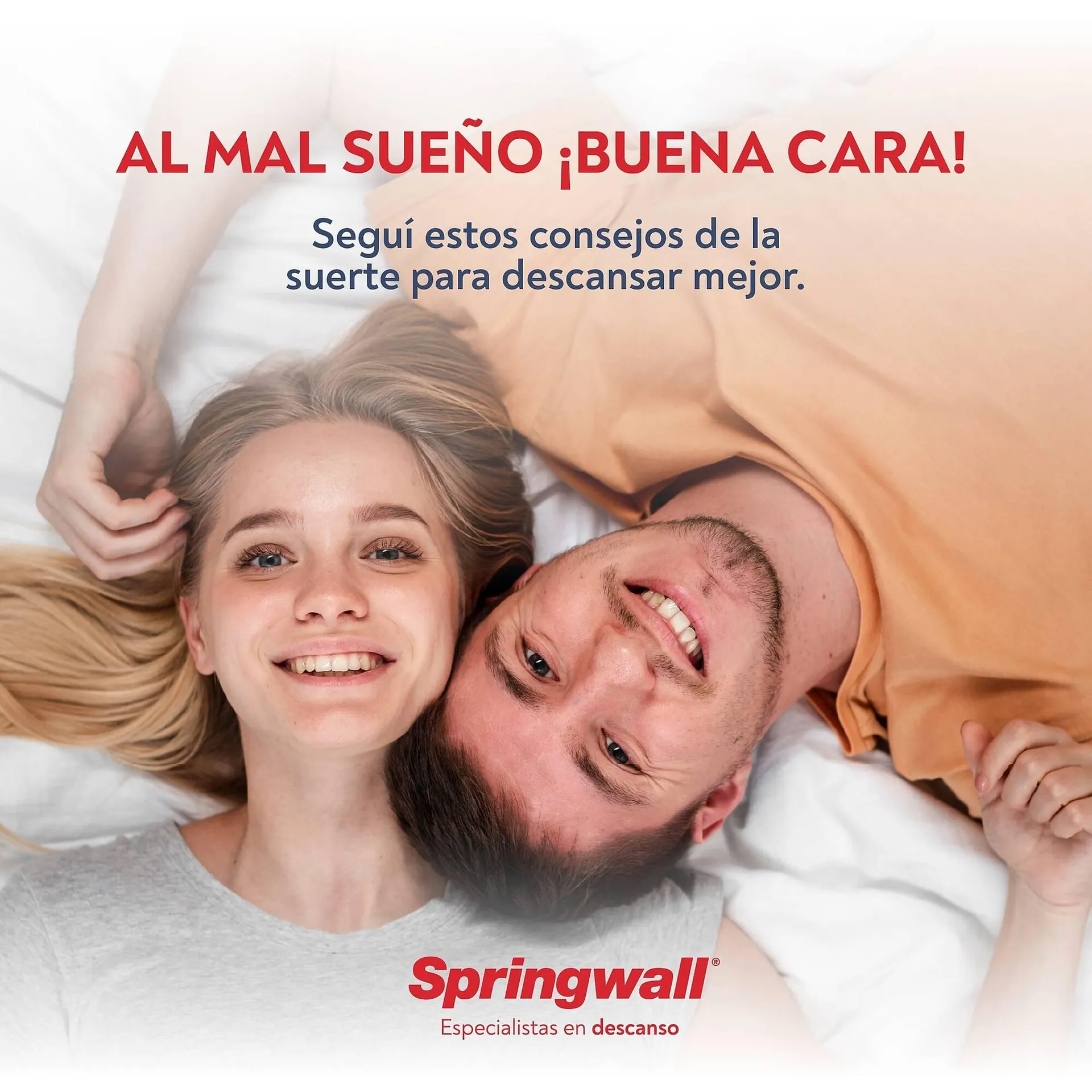 Catálogo Springwall - 1