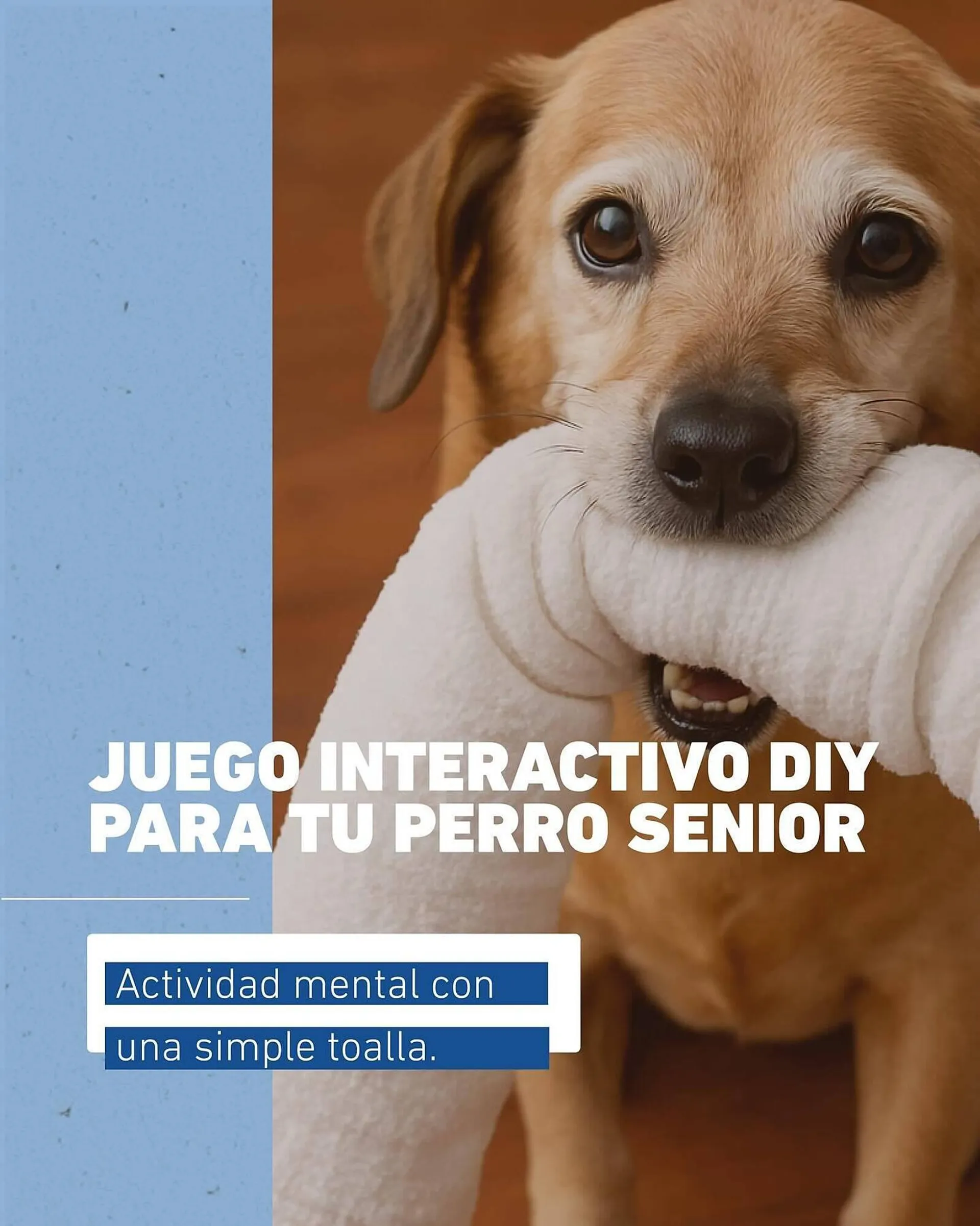 Ofertas de Catálogo Puppis 4 de julio al 31 de julio 2025 - Página 1 del catálogo
