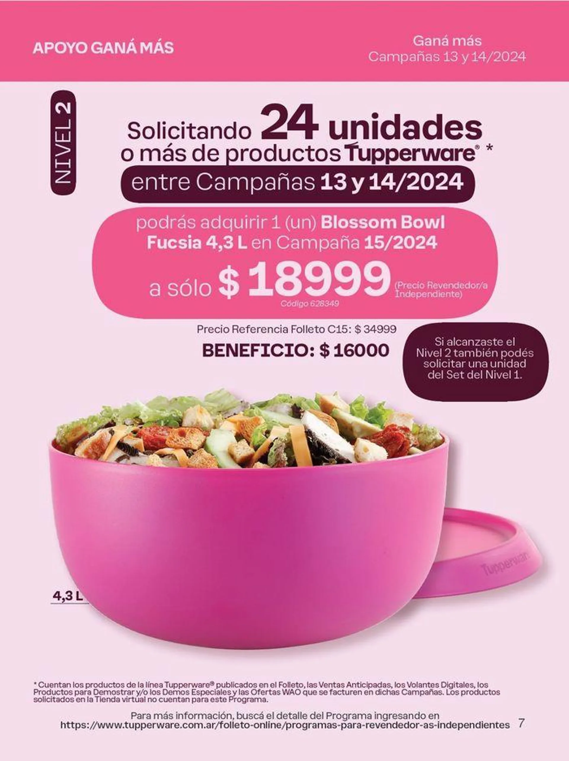 Destacados de la Campaña 13 Tupperware - 22