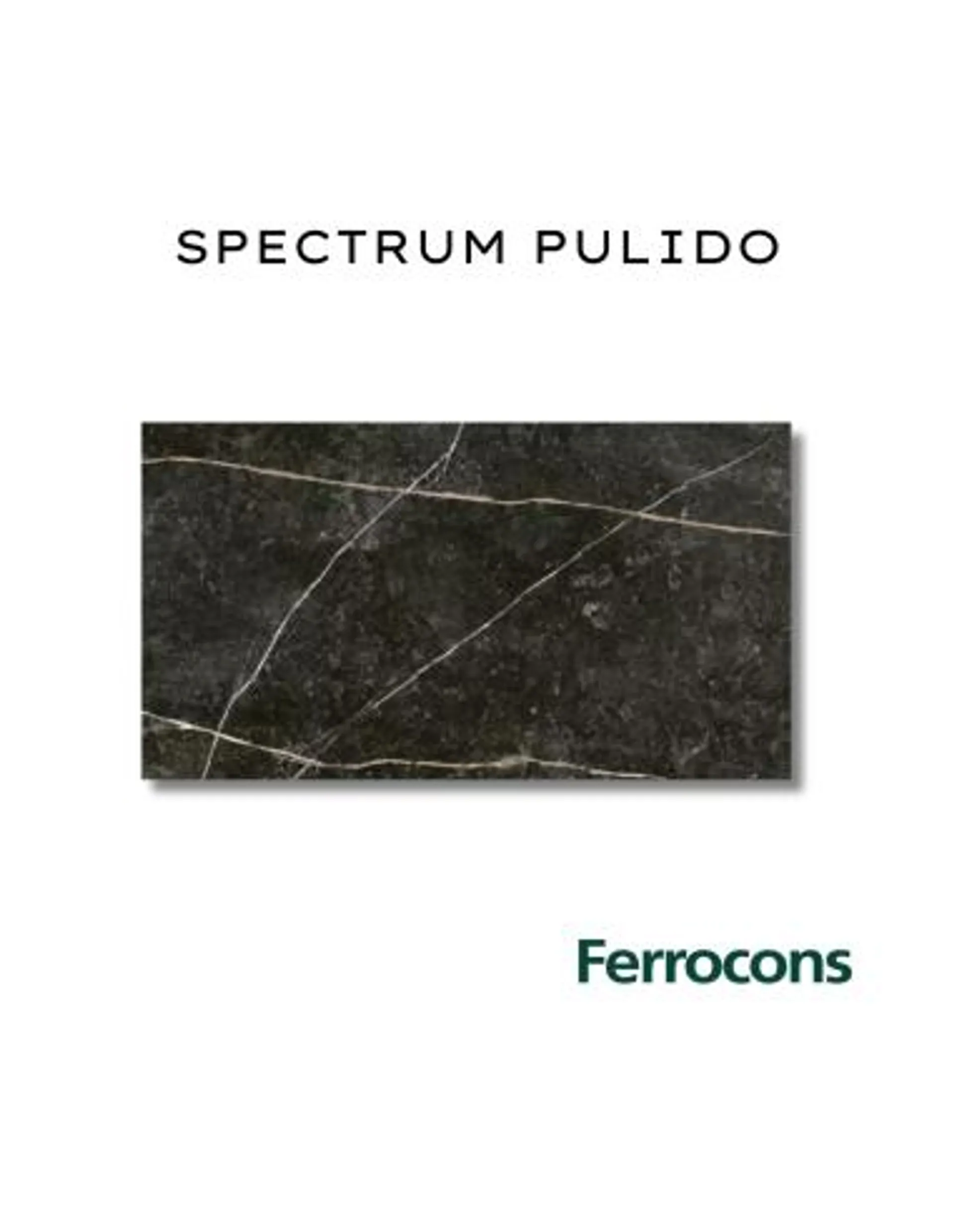 TENDENZA SPECTRUM PULIDO 59X119 PORCELANI REC