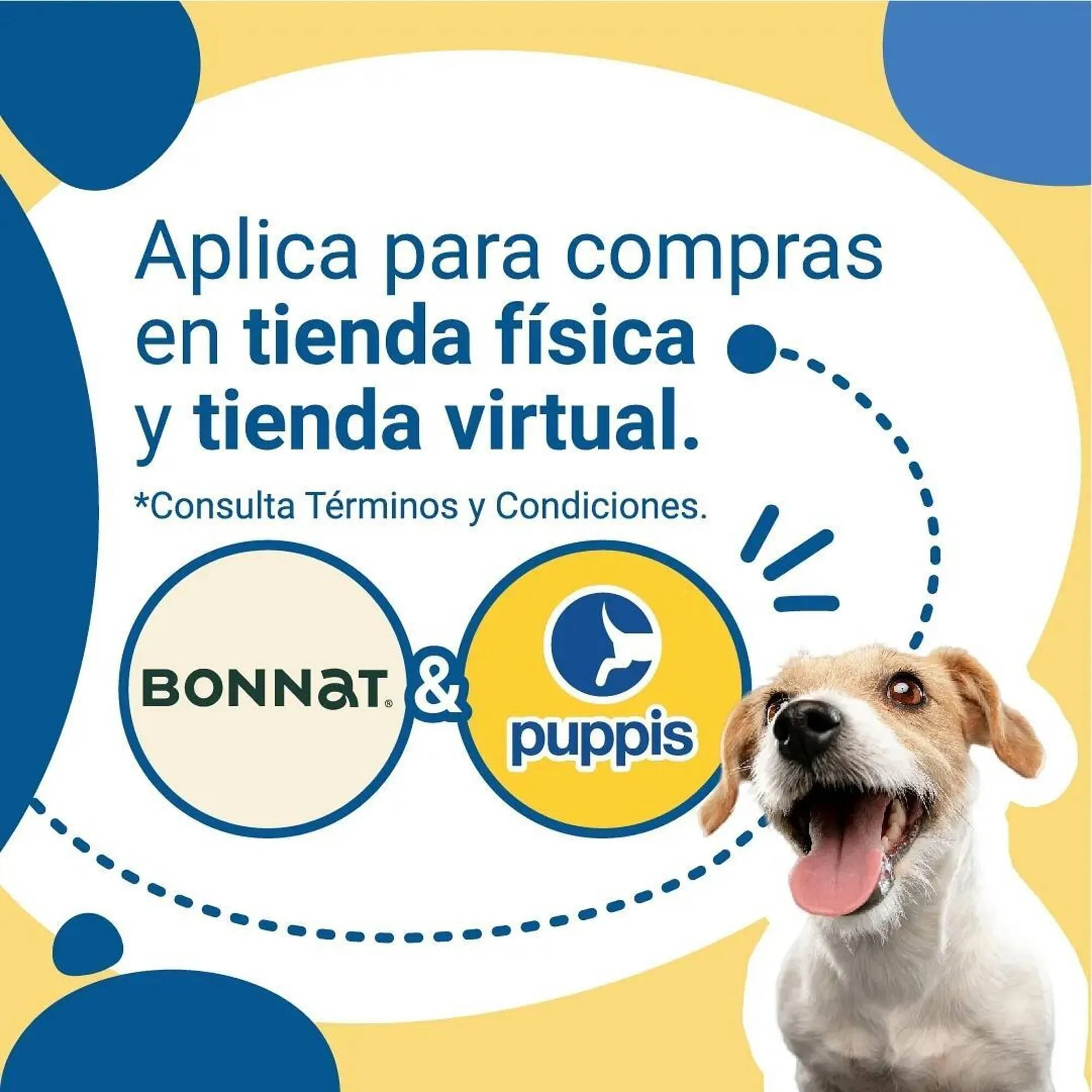 Ofertas de Catálogo Puppis 20 de septiembre al 24 de noviembre 2024 - Página 3 del catálogo