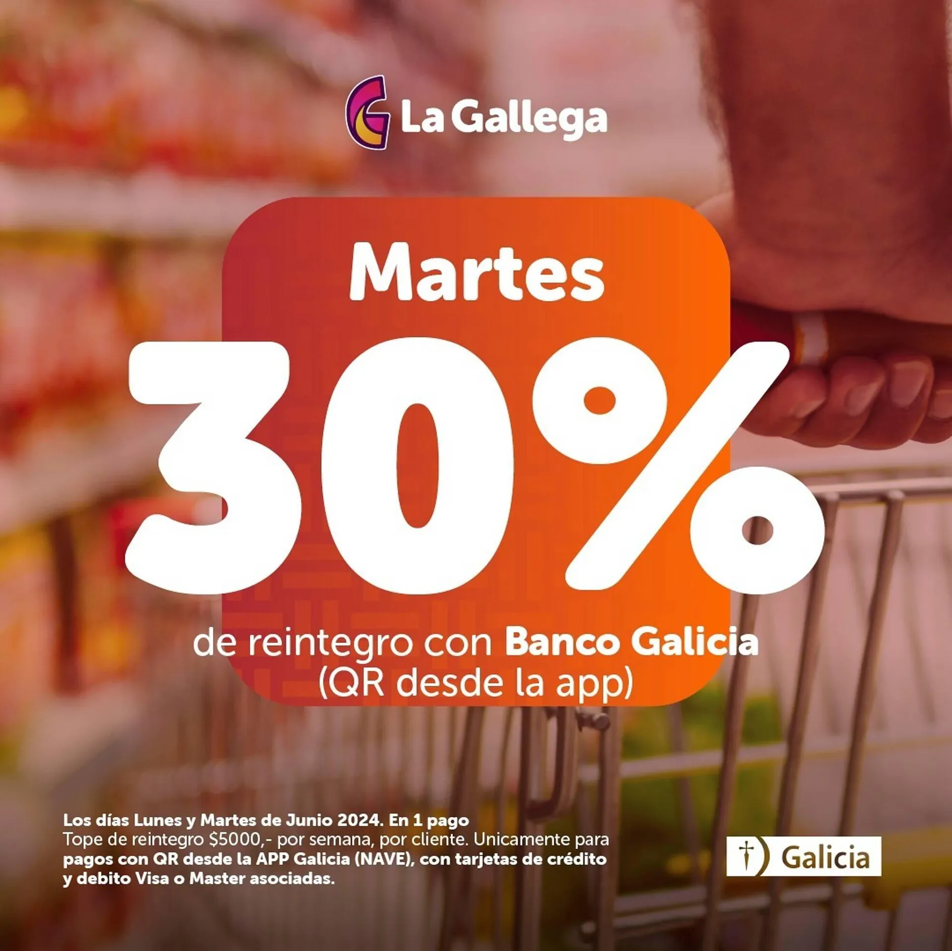 Catálogo La Gallega Supermercados - 1