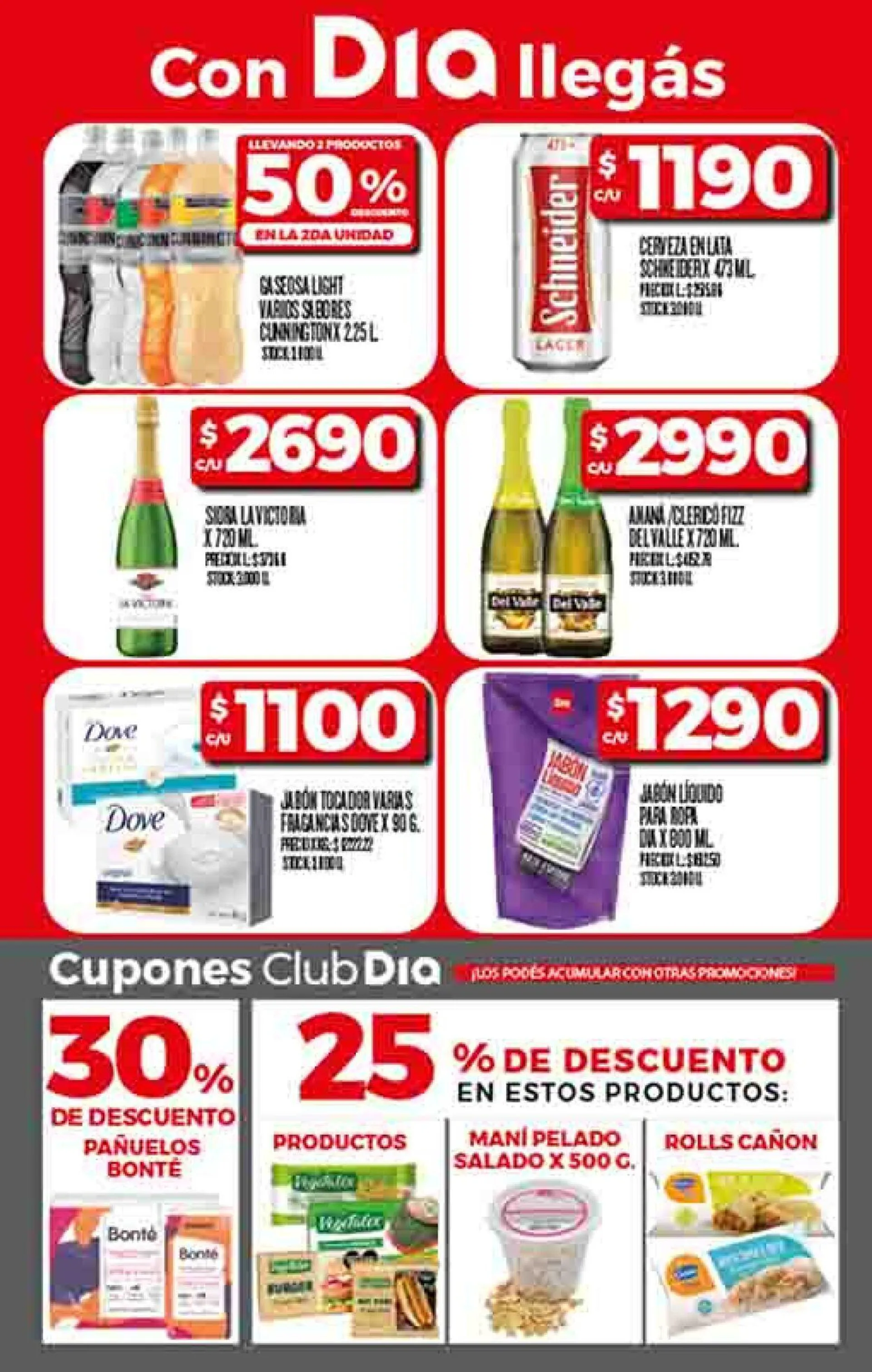 Ofertas de Dia 21 de noviembre al 8 de diciembre 2024 - Página 3 del catálogo