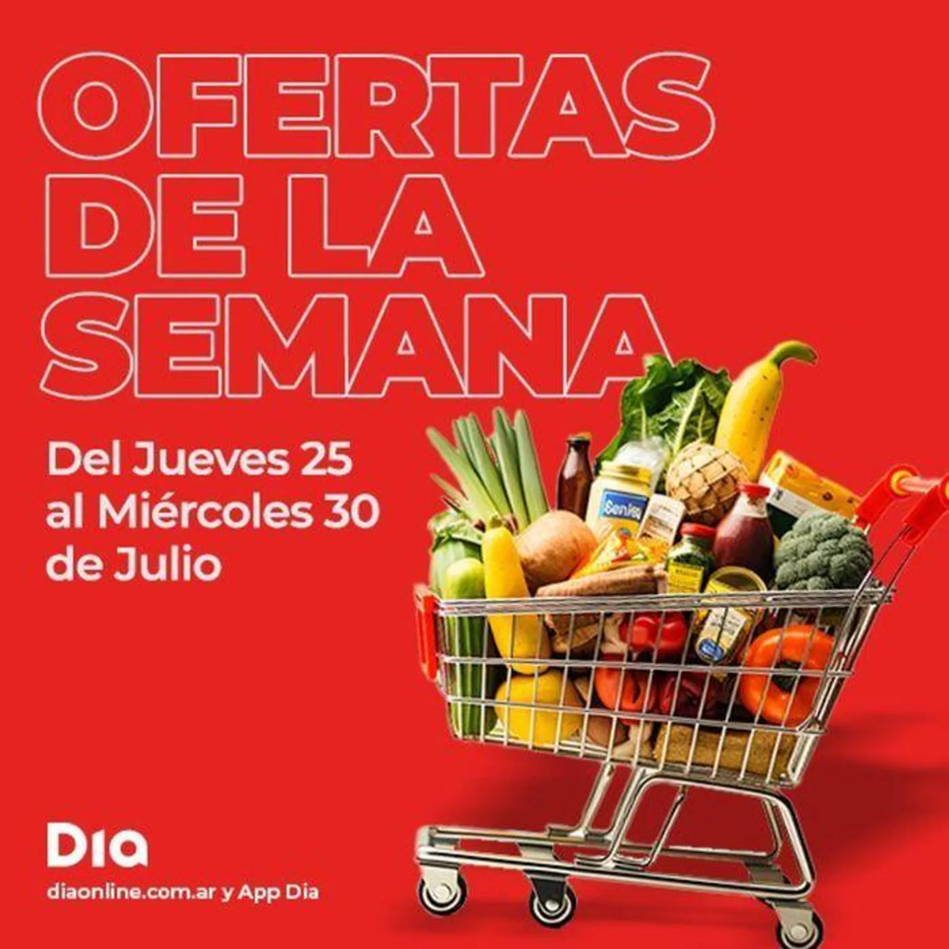 Ofertas de la semana Supermercados DIA - 5