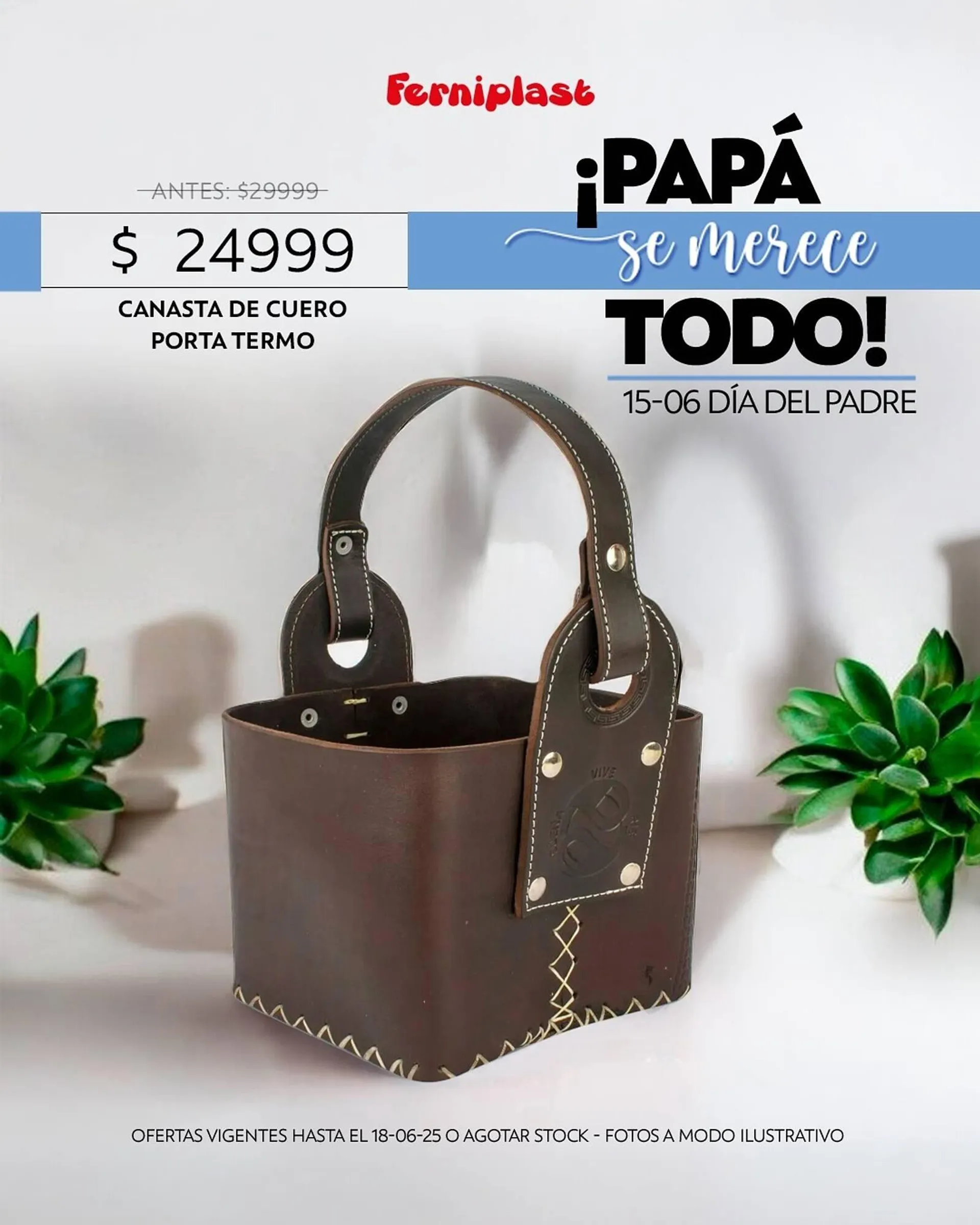 Ofertas de Catálogo Ferniplast 10 de junio al 18 de junio 2025 - Página 1 del catálogo
