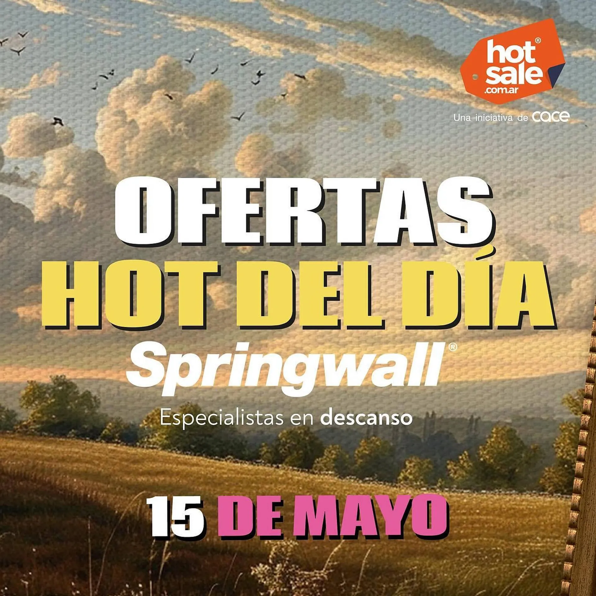 Catálogo Springwall - 1