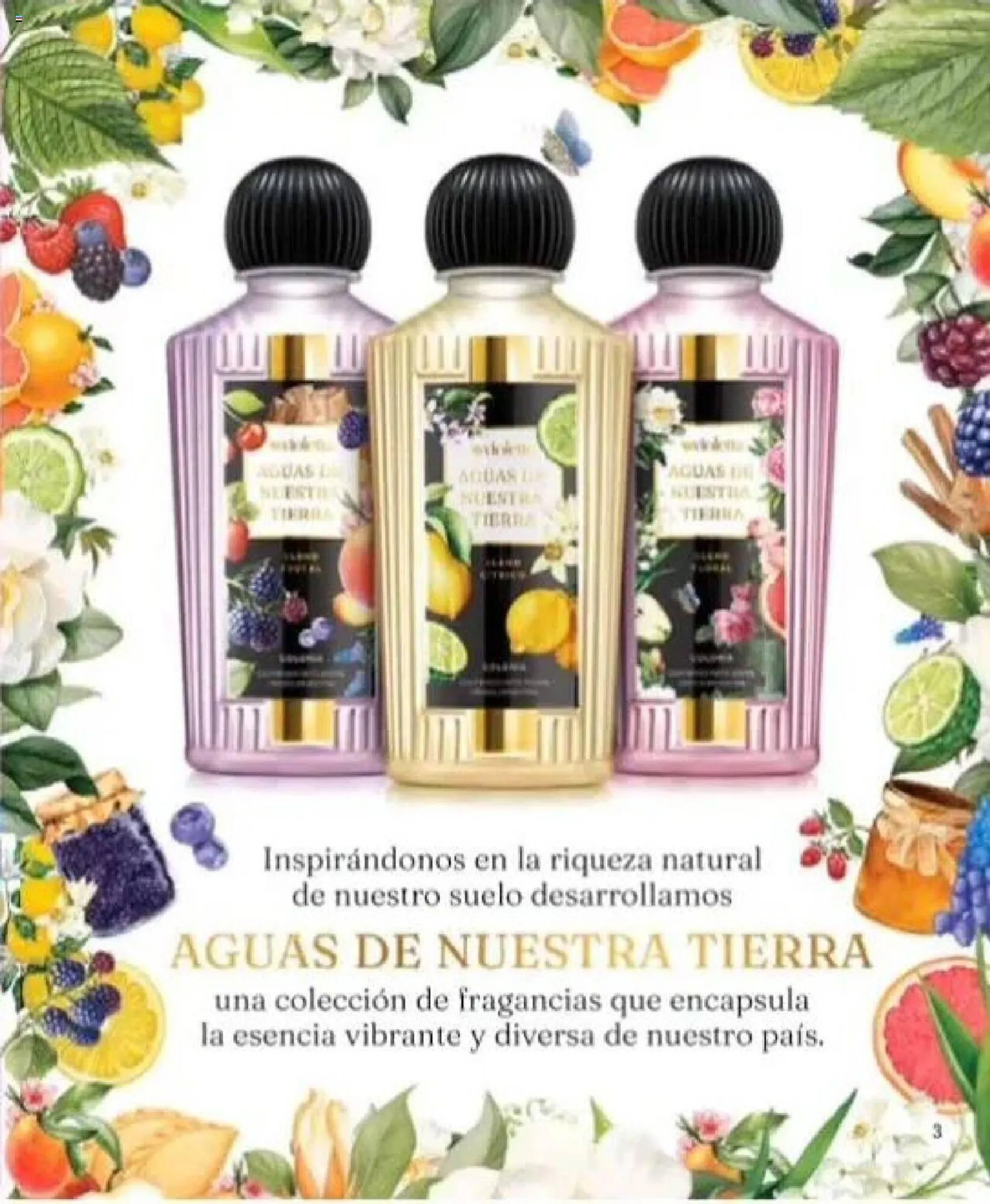 Ofertas de Catálogo Violetta Cosméticos 23 de septiembre al 6 de octubre 2024 - Página 3 del catálogo