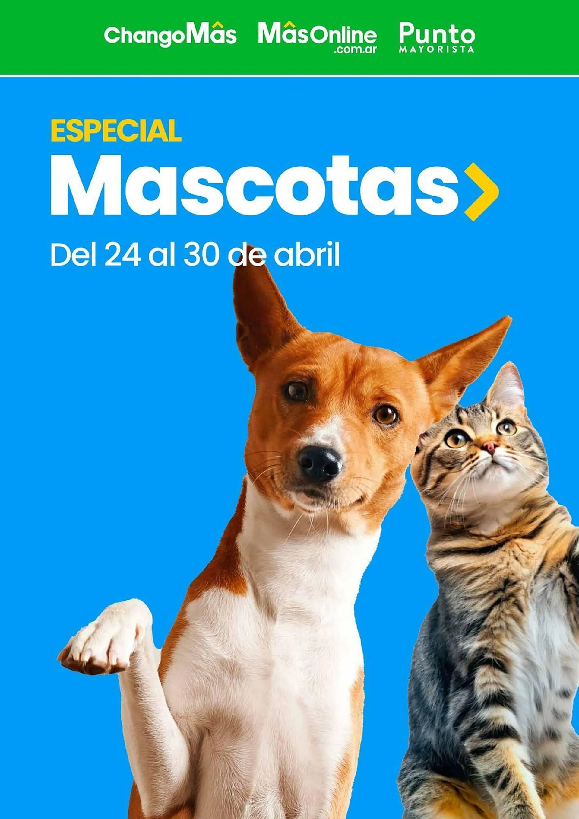 Catálogo Punto Mayorista - 1