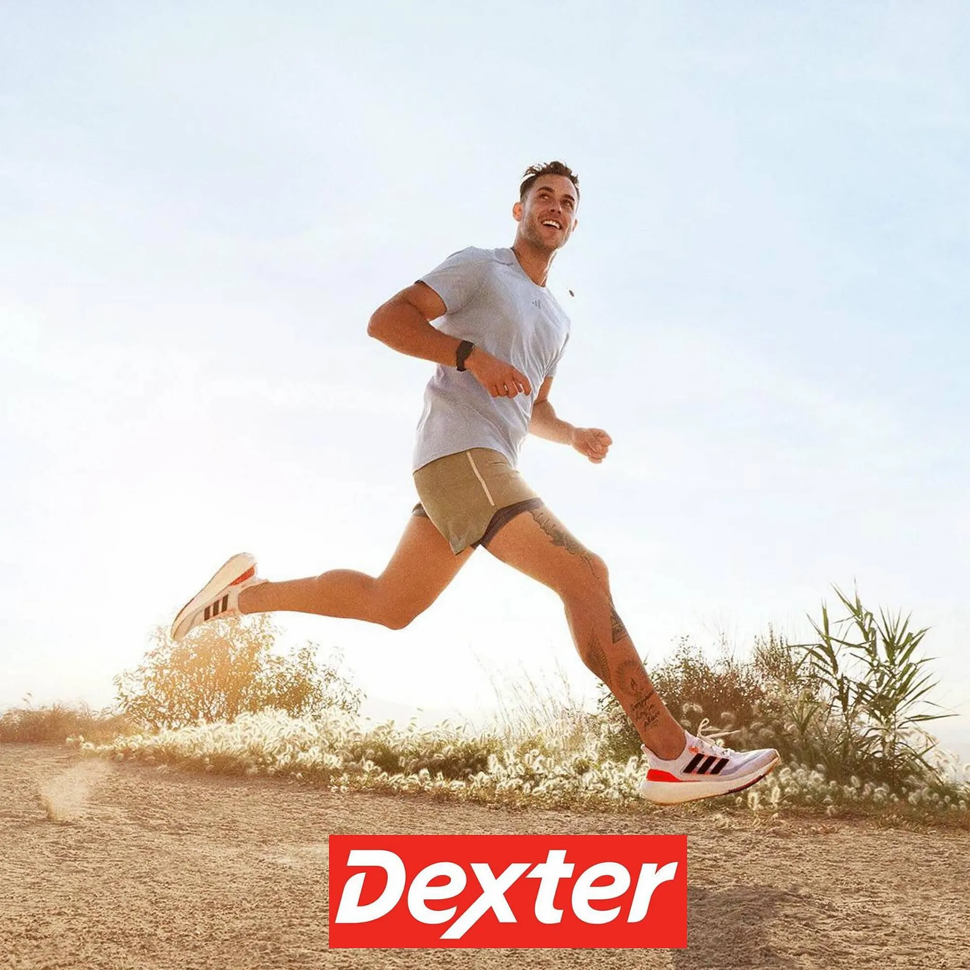 Catálogo Dexter - 1