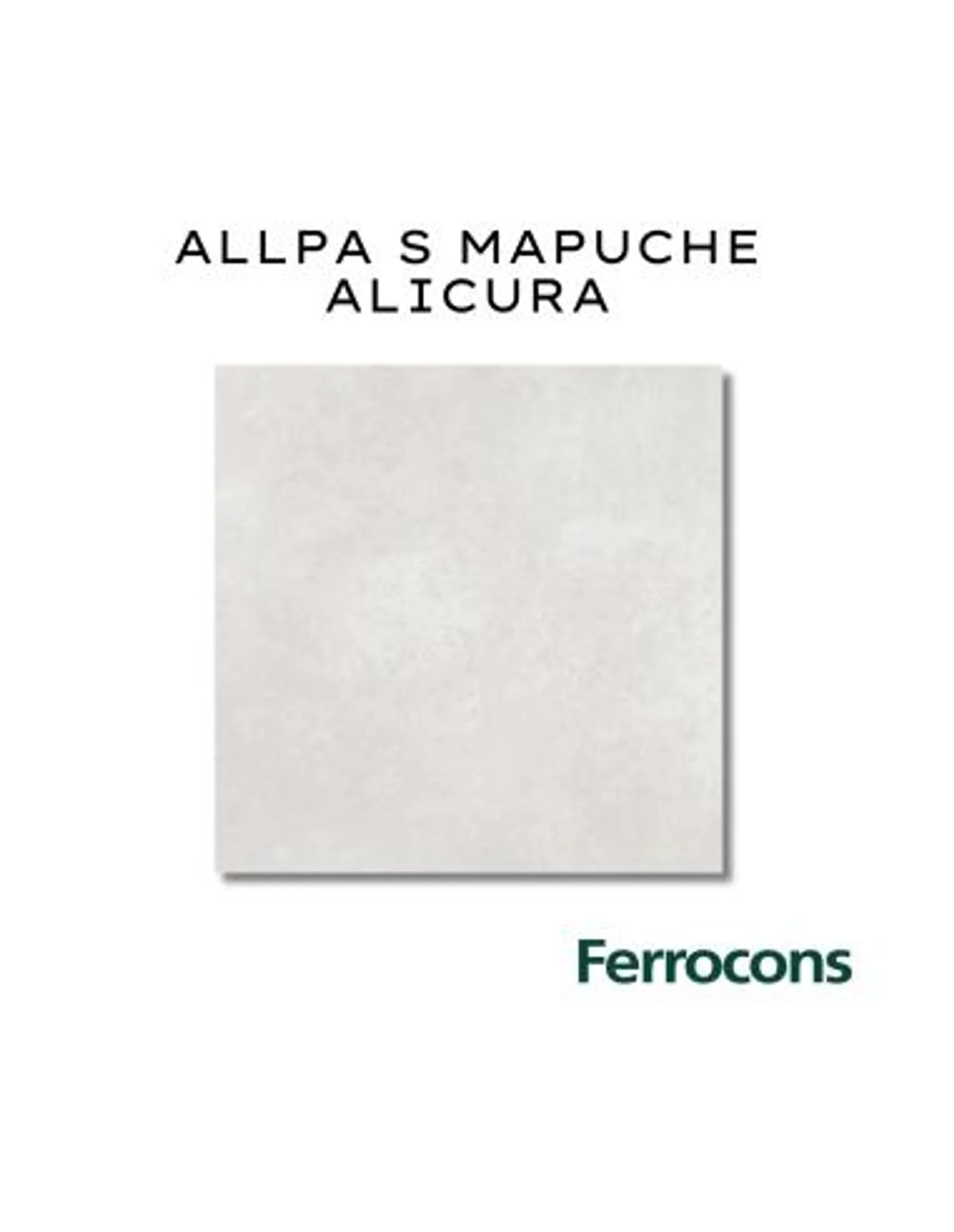 ALBERDI ALLPA S MAPUCHE ALICURA 36X36 M2